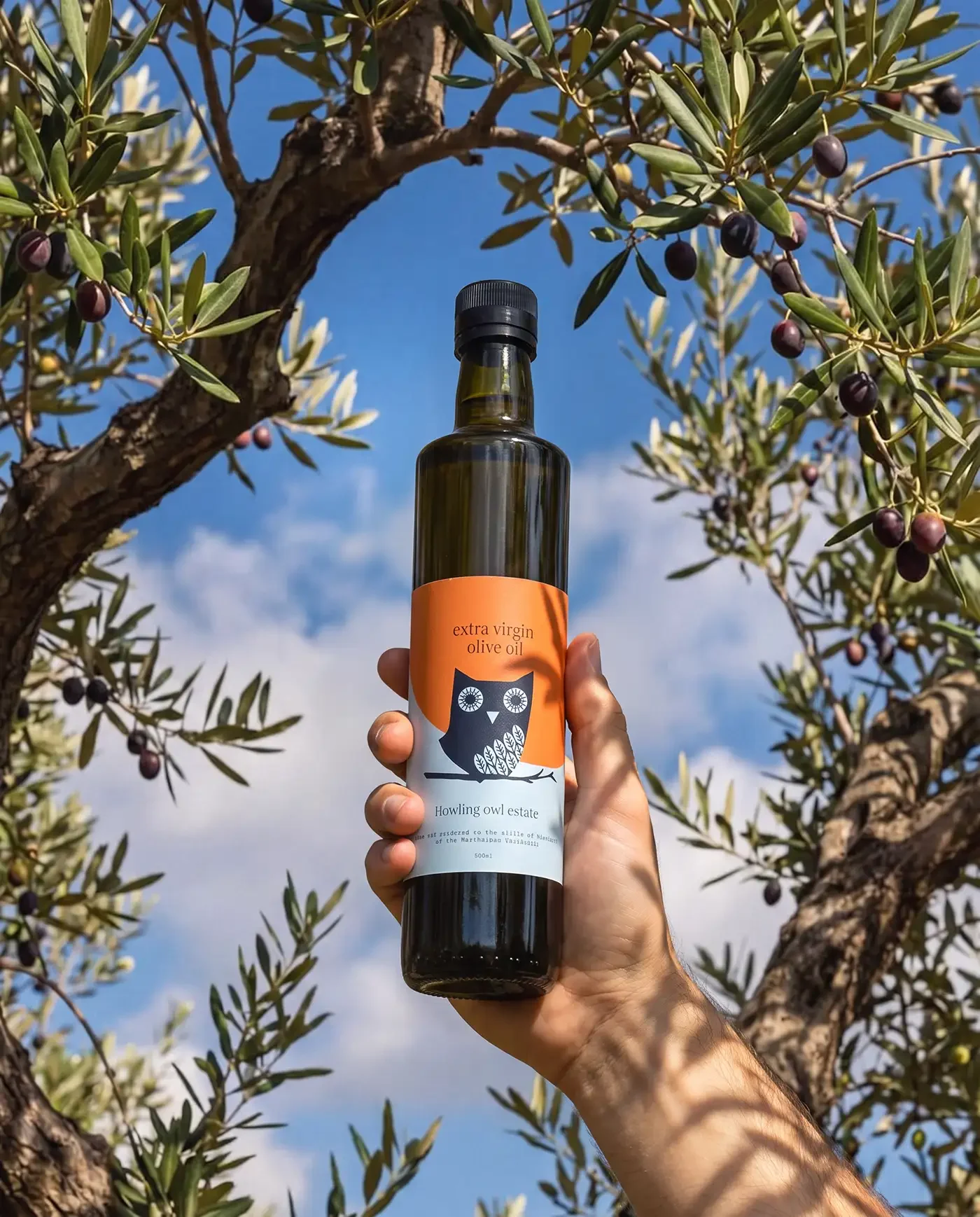 Hand holding a bottle of extra virgin olive oil labeled 'Howling owl estate' in front of an olive tree with ripe olives against a blue sky.