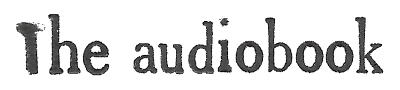 Text reading 'The audiobook' in black serif font on a plain background.