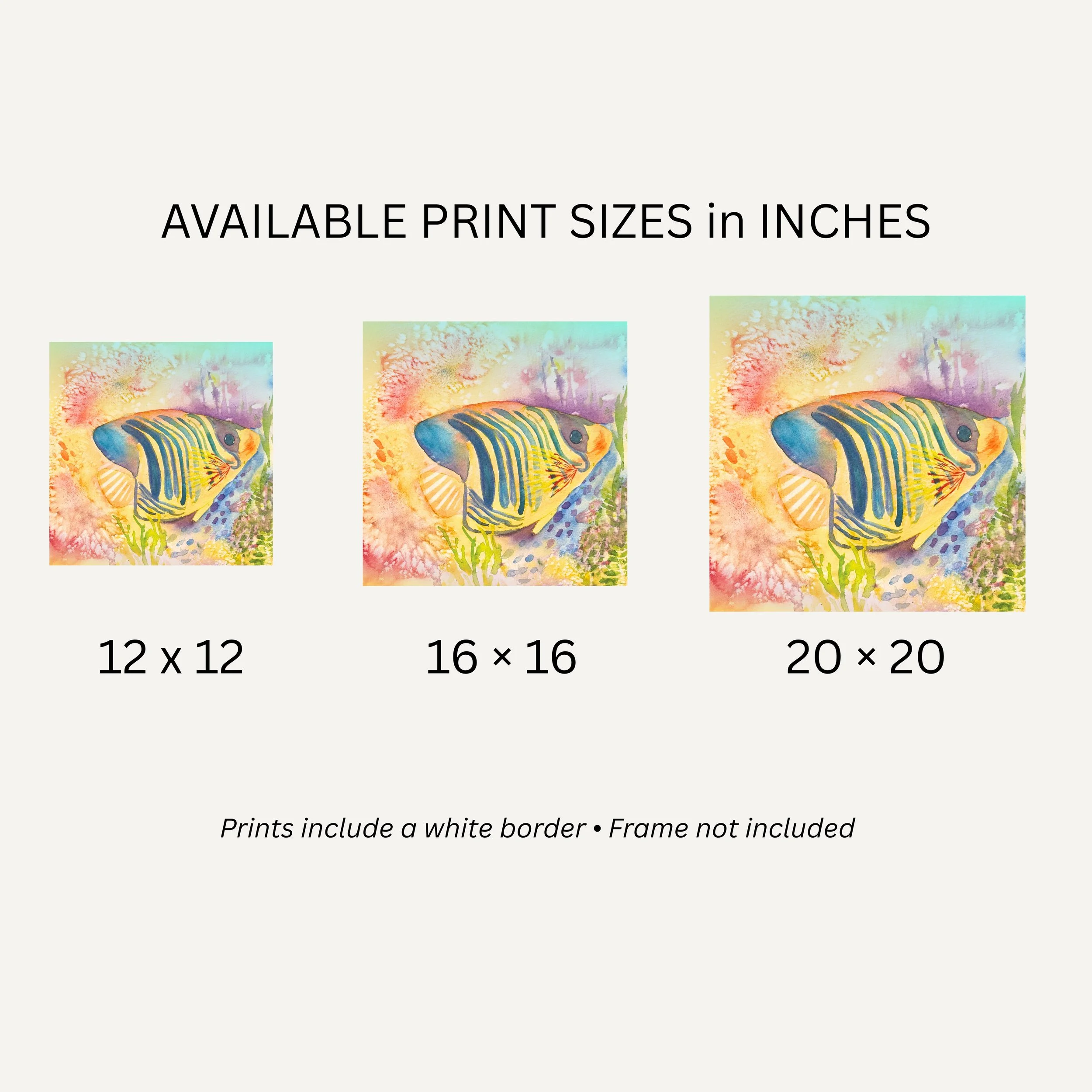Dream Afloat Sizes.jpg