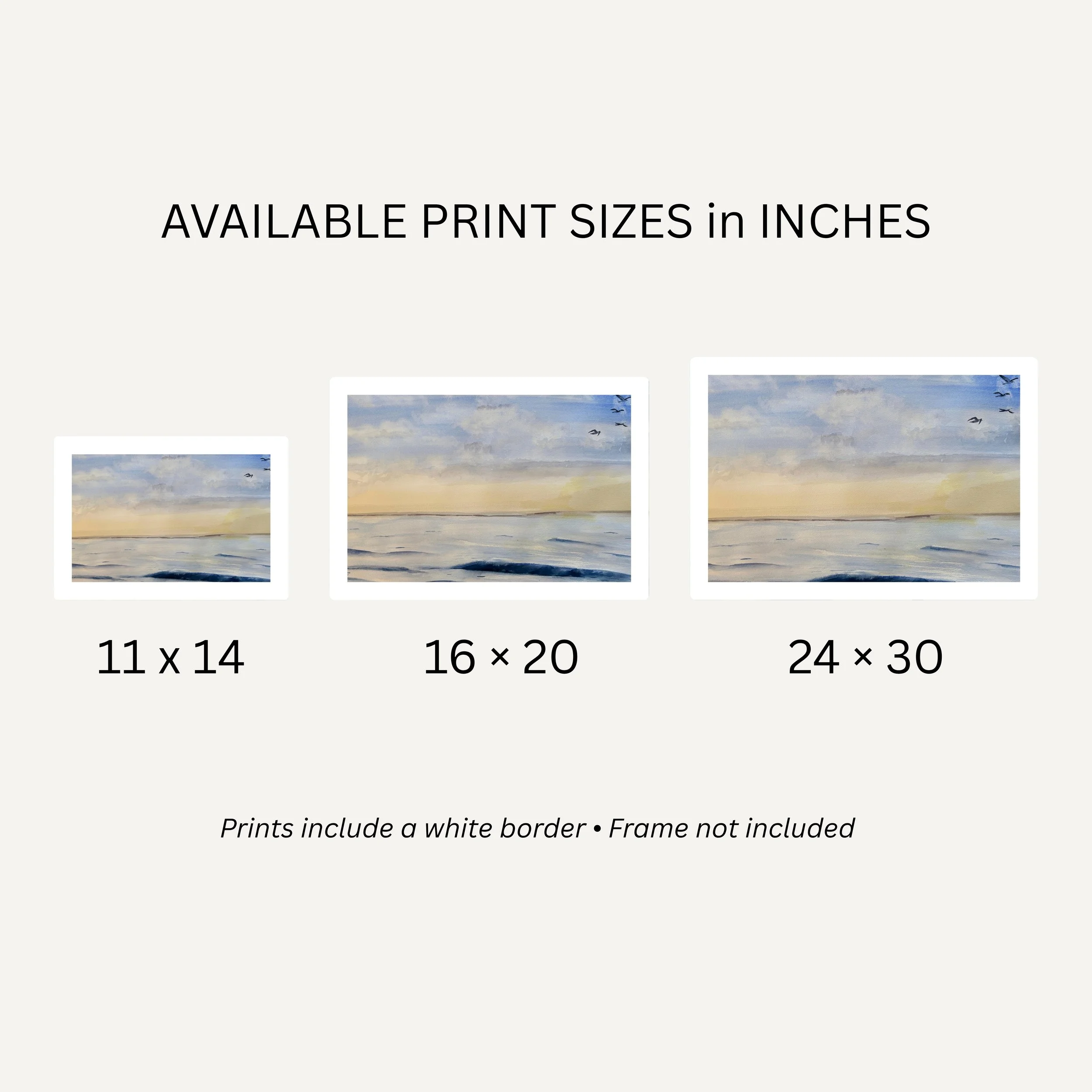 Open Water Sizes.jpg