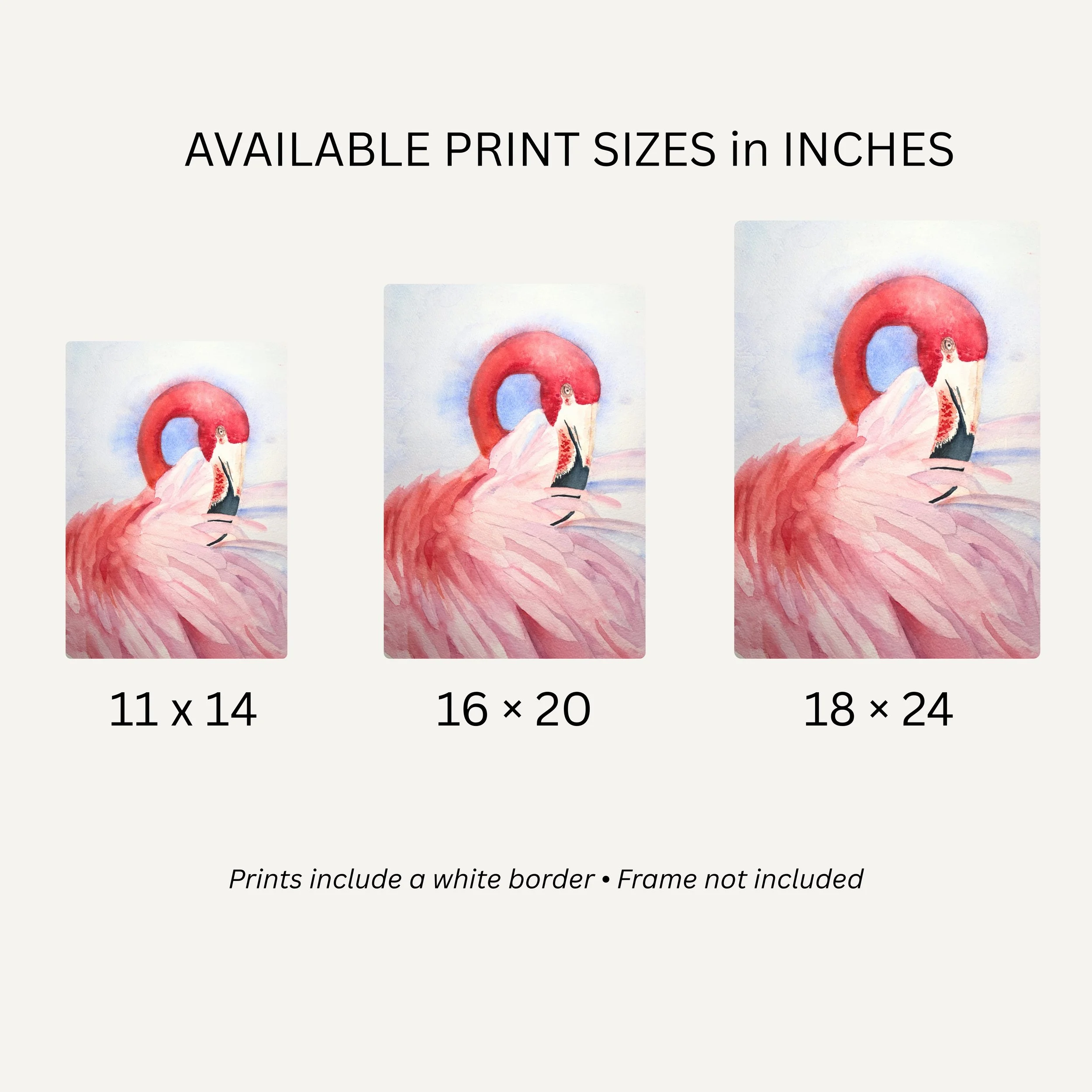 Blush Flamingo Sizes.jpg