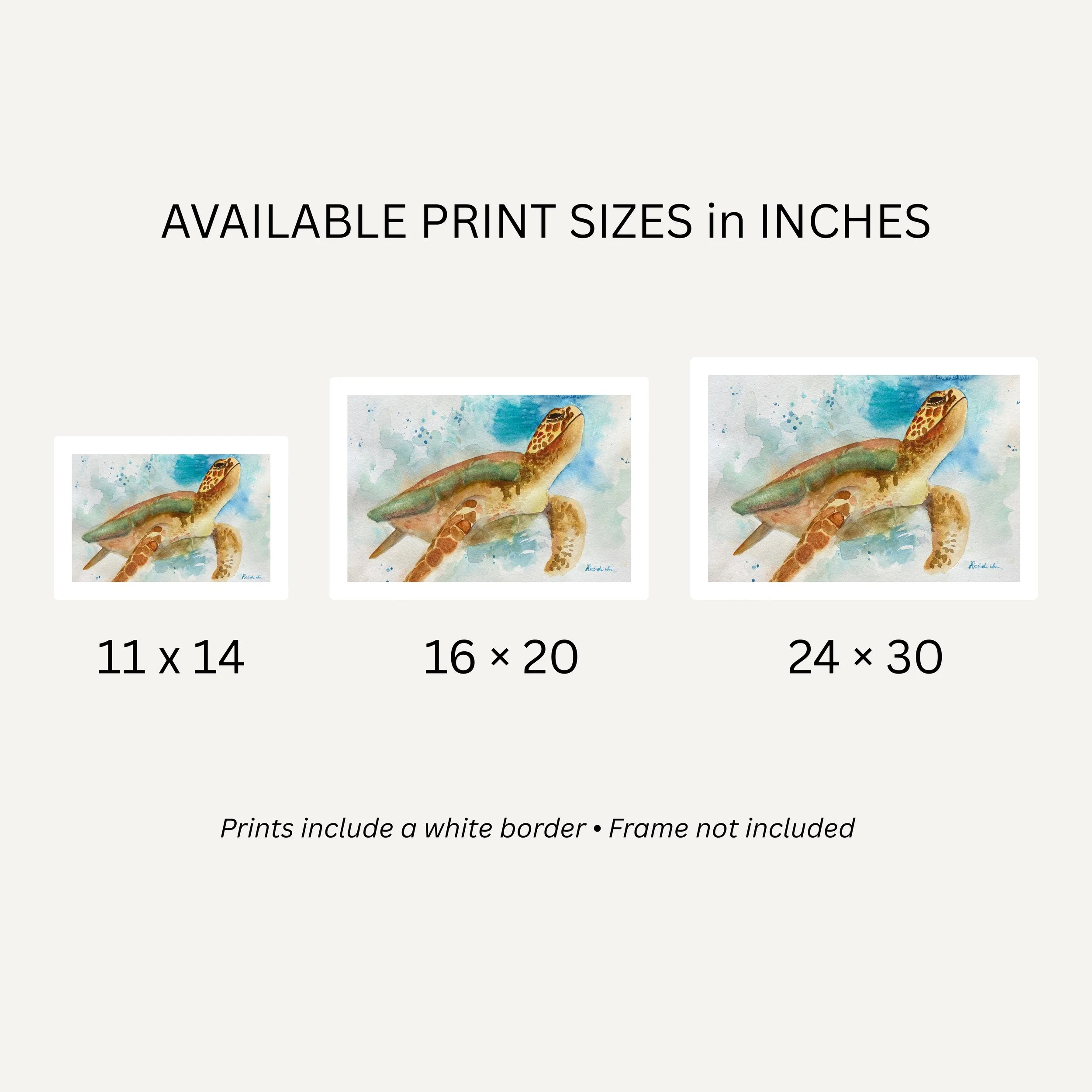 Drifting Home Sizes.jpg