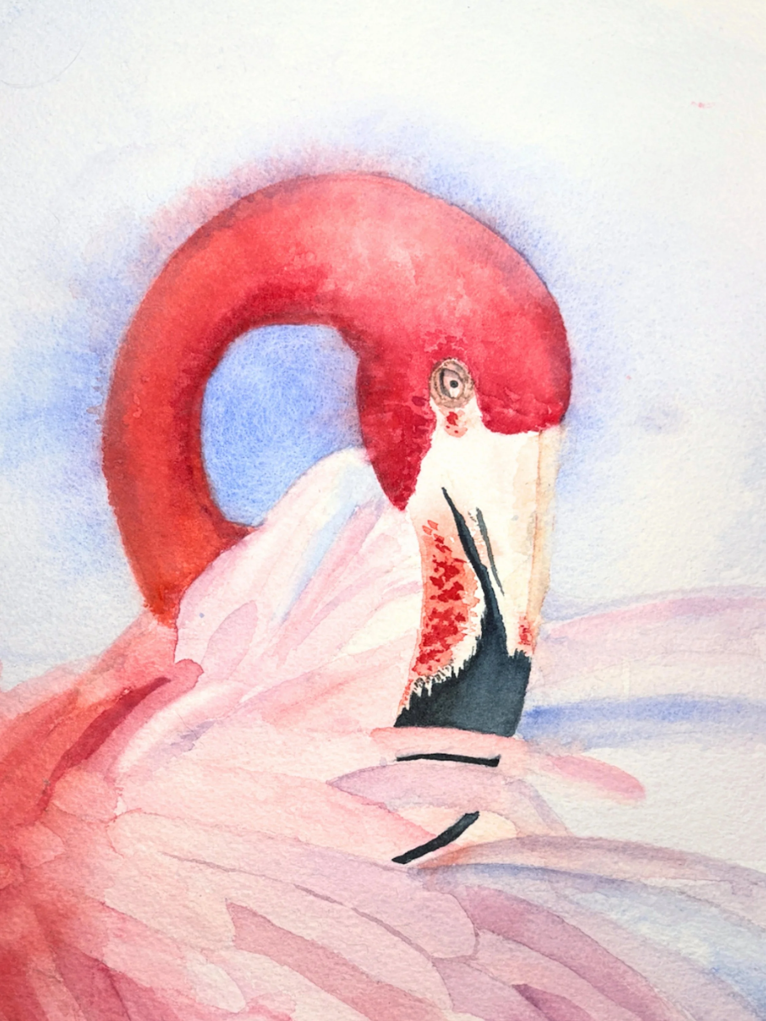 Blush Flamingo Detail.jpg (Copy)