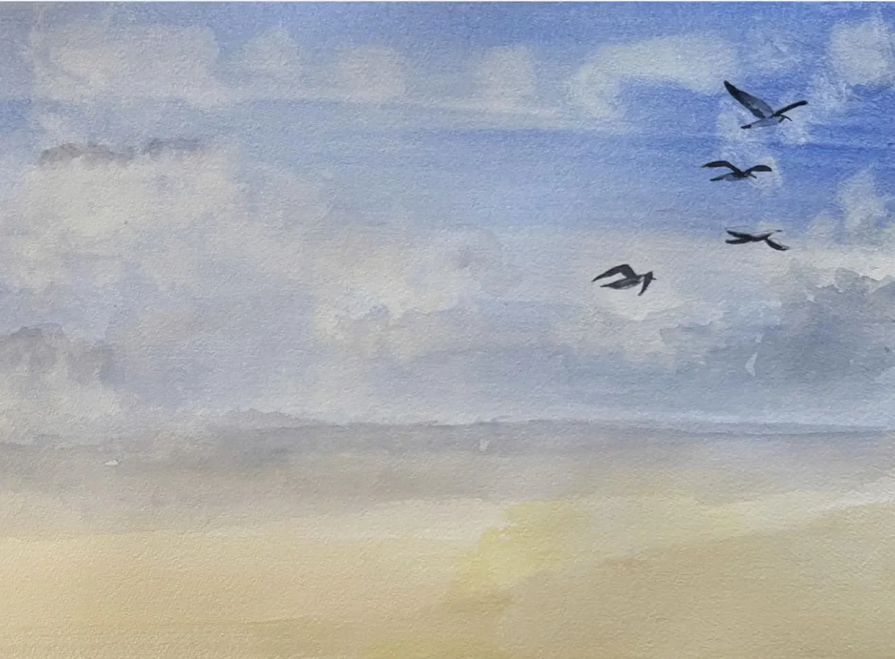 Open Water Bird Detail.webp
