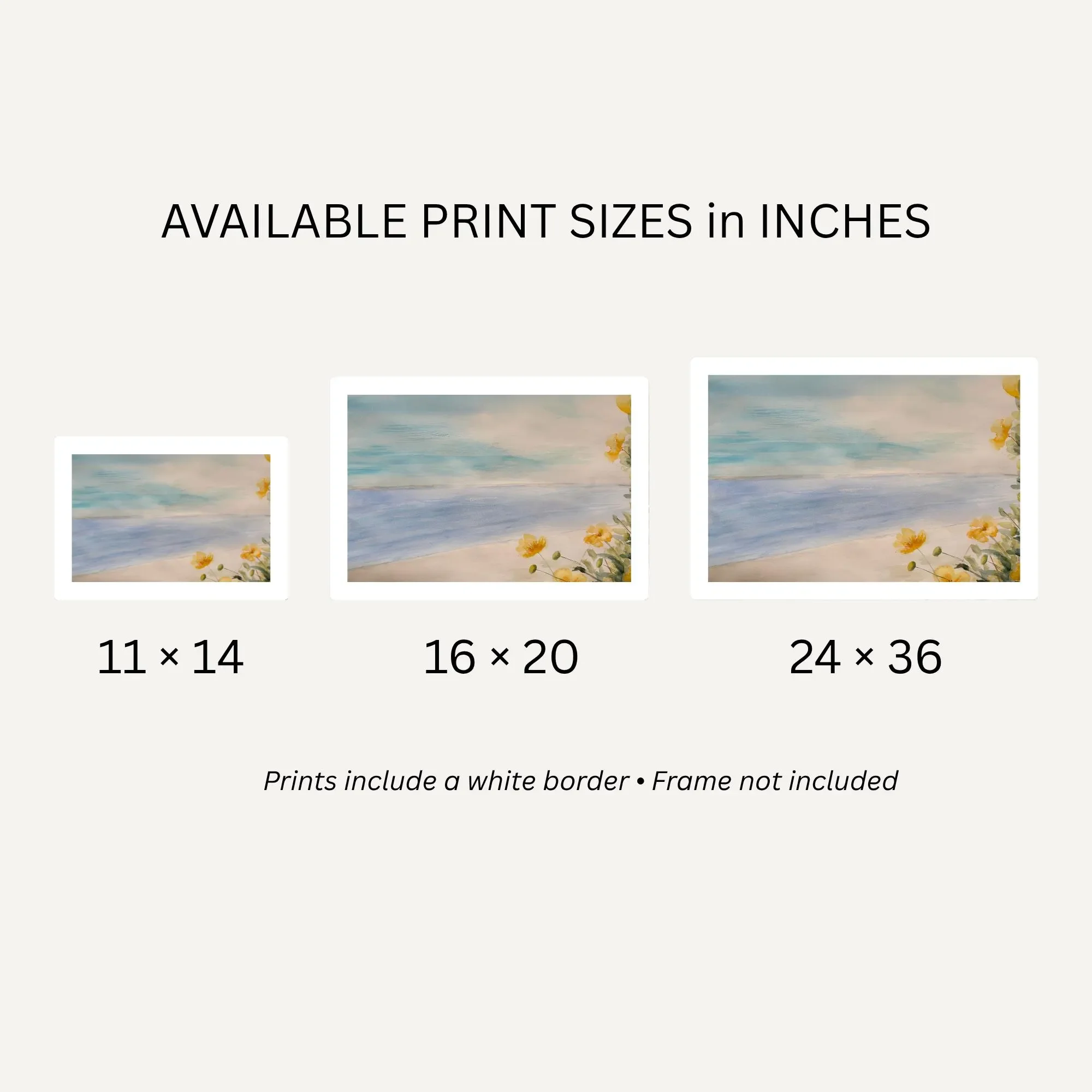 Quiet Tide Sizes.webp