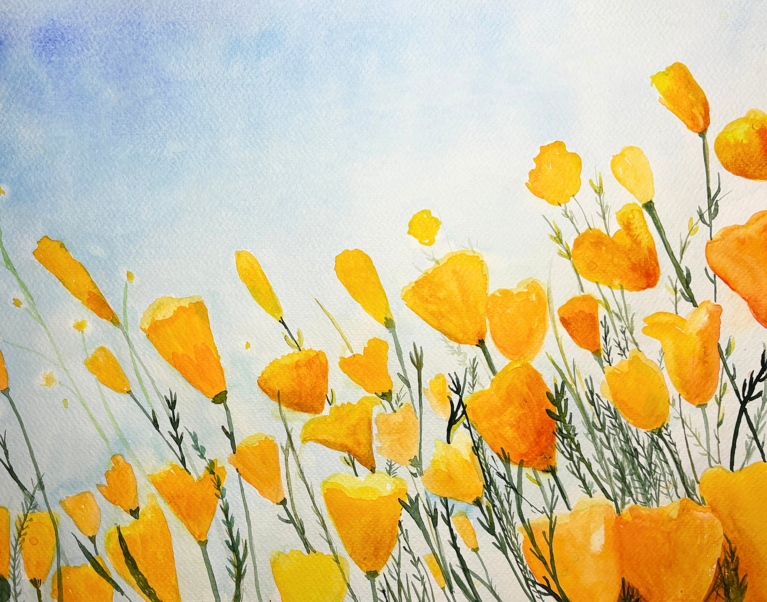 F4-Golden Poppies High Rez.jpg