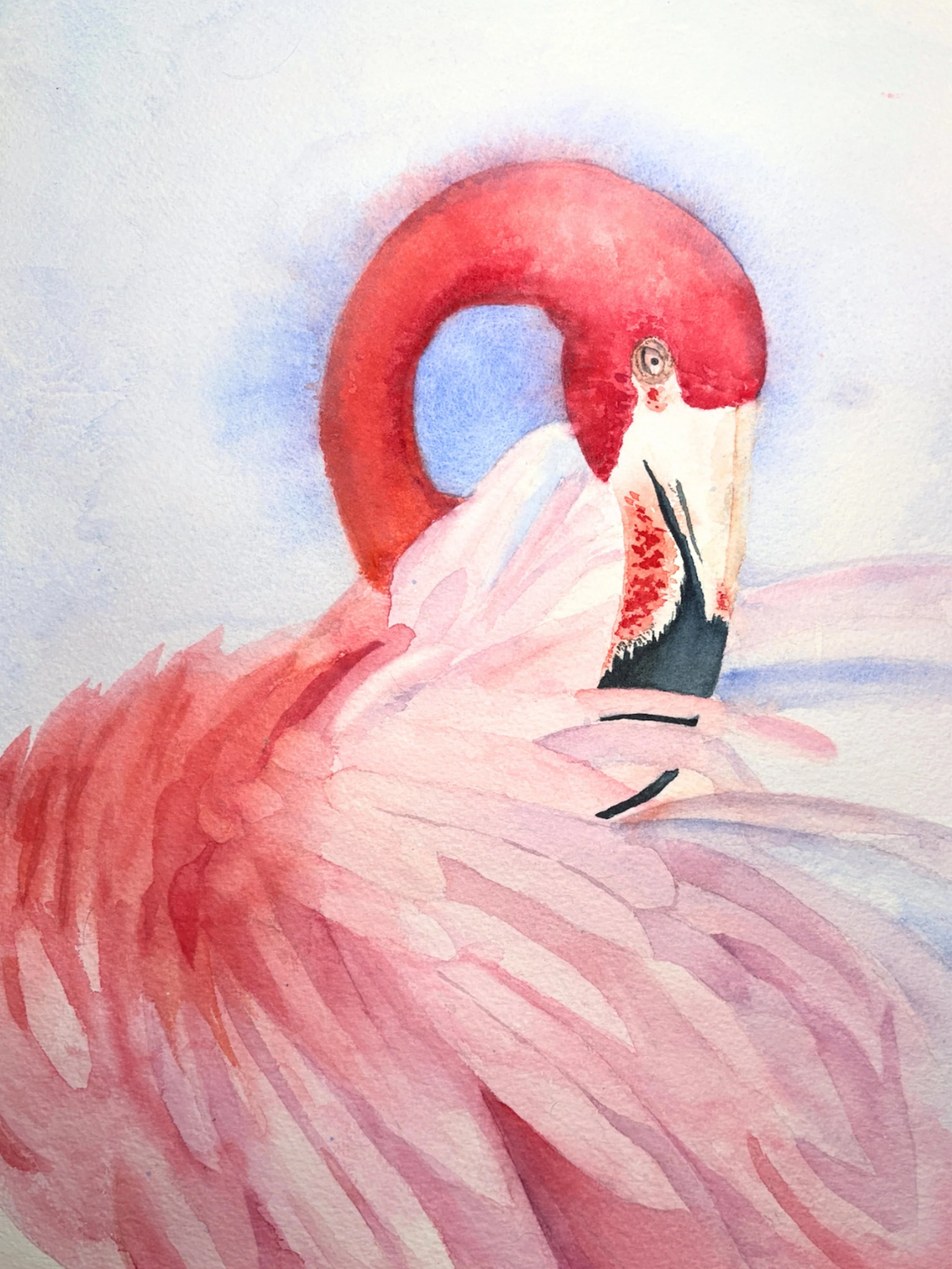 Blush Flamingo High Rez.jpg (Copy)