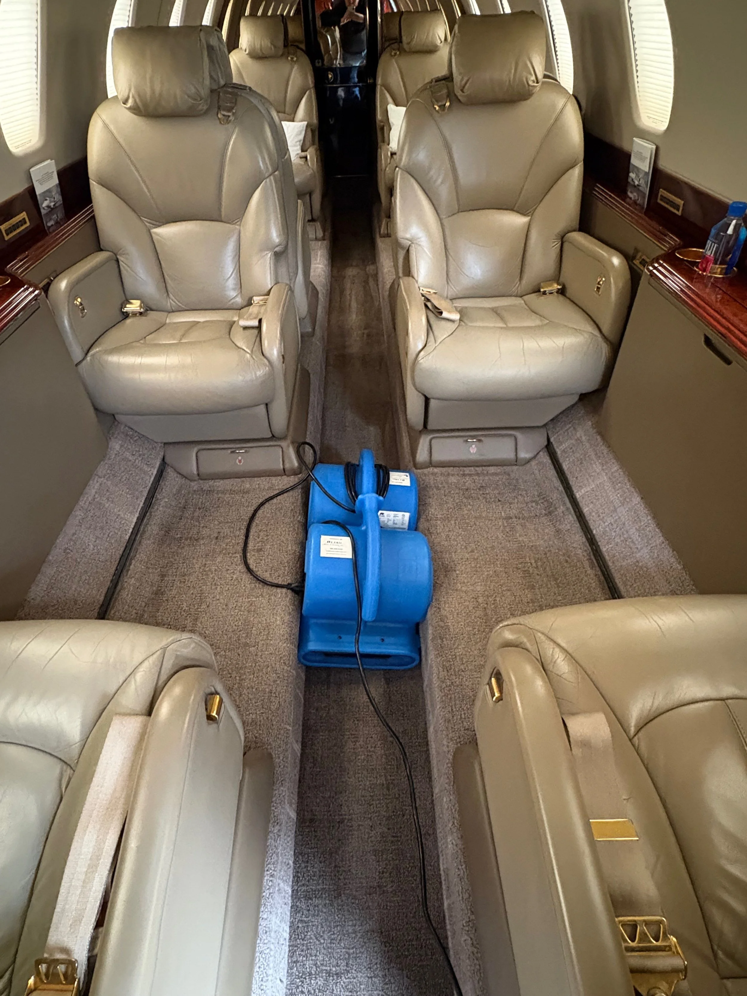 Carpet Shampoo & Stain Removal Services