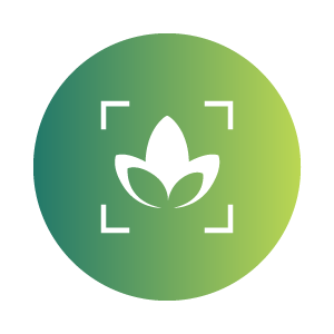Lettuce Box logo with a white stylized lotus flower in the center on a green gradient background.