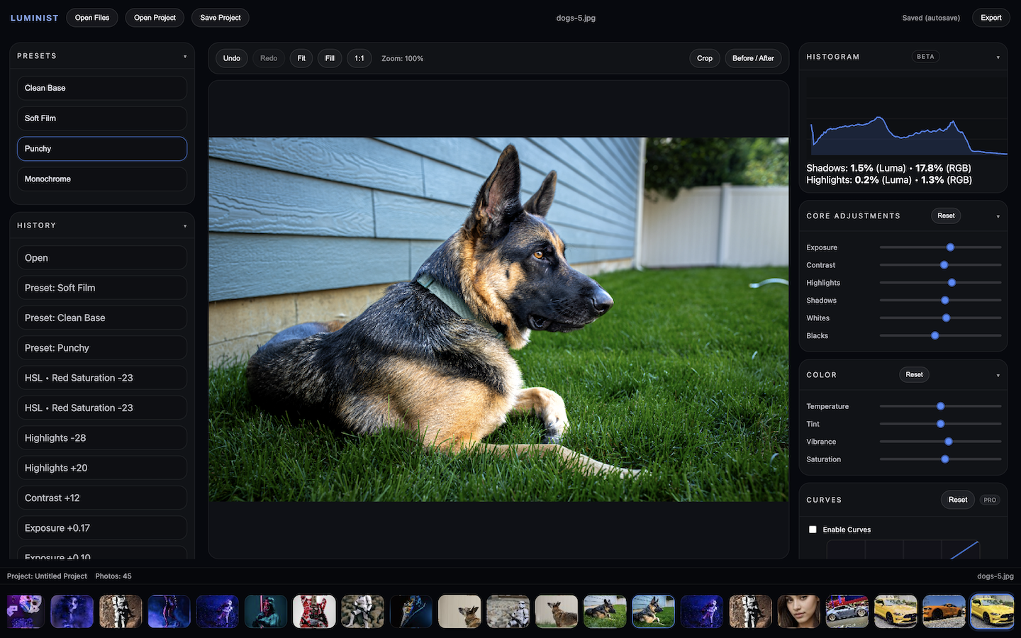 Luminist Photo Editing Software
