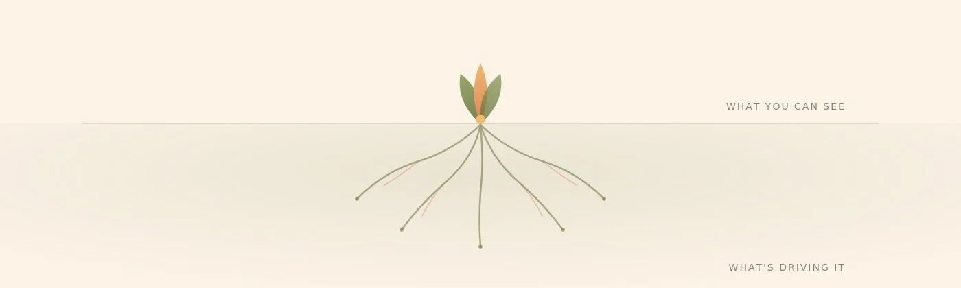 Diagram showing a plant with roots beneath the surface. The top part labeled 'WHAT YOU CAN SEE' and the roots labeled 'WHAT'S DRIVING IT'.