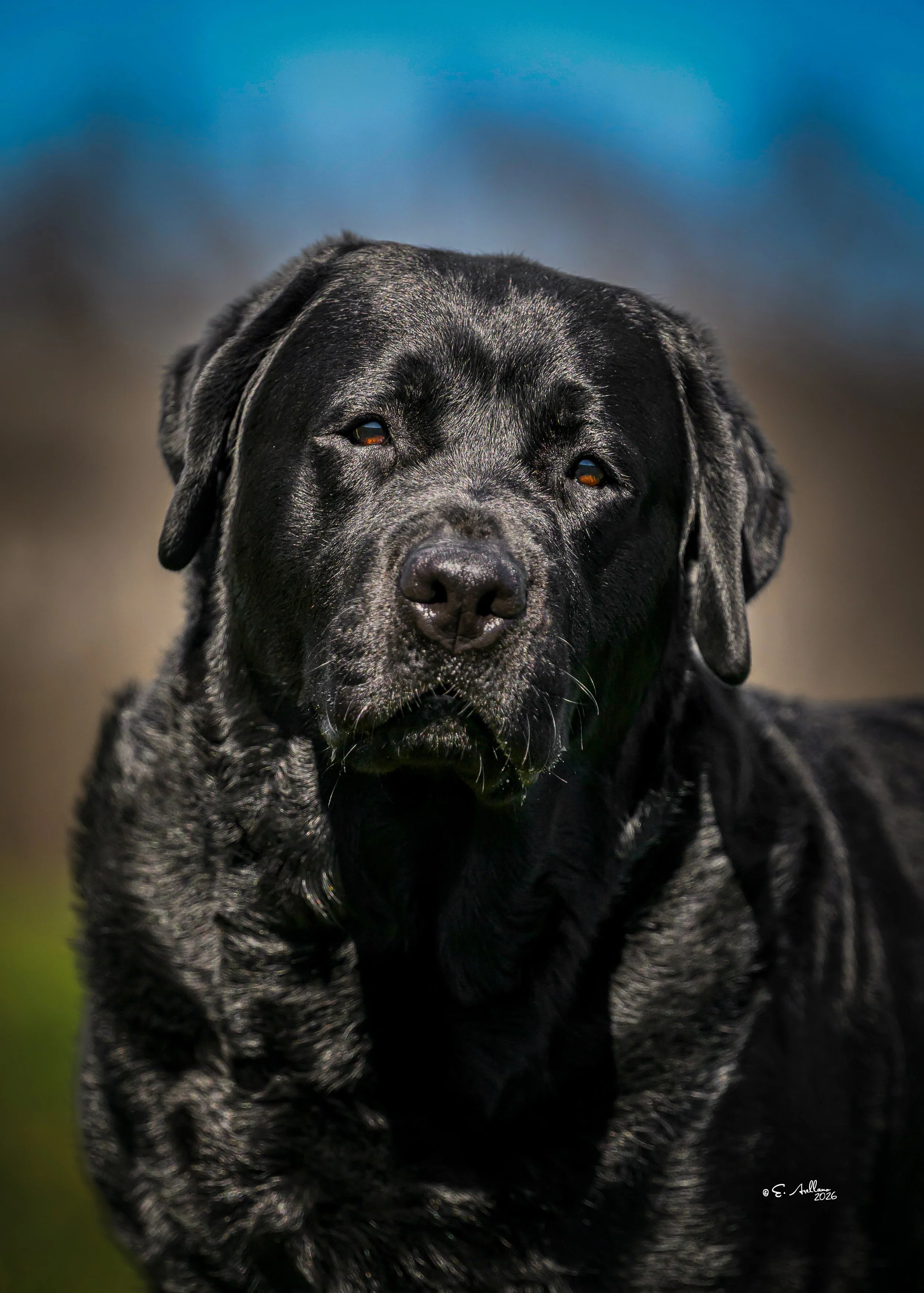 Clarence_7610.JPG
