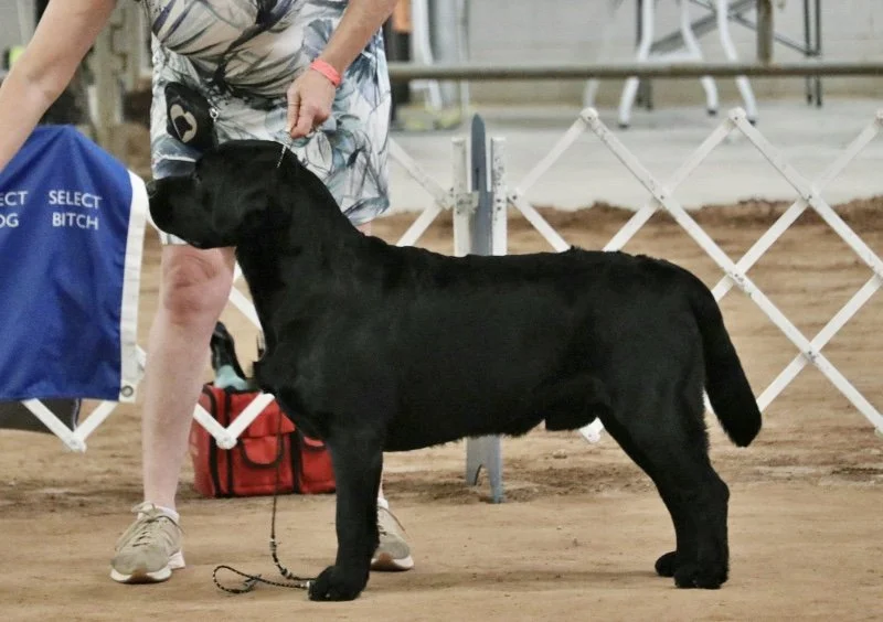 Bruce_3711.jpg