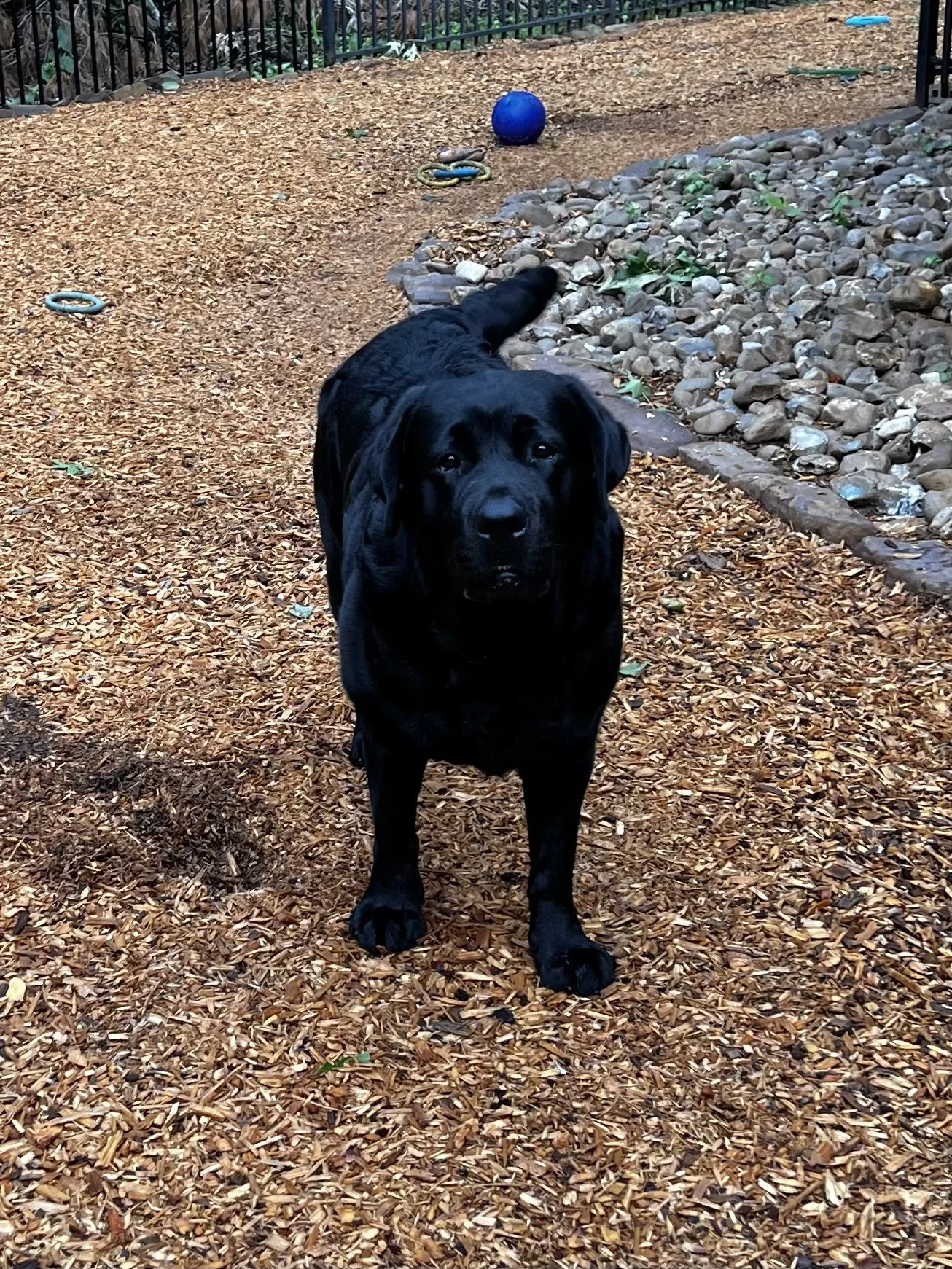 Clarence_0950.jpg