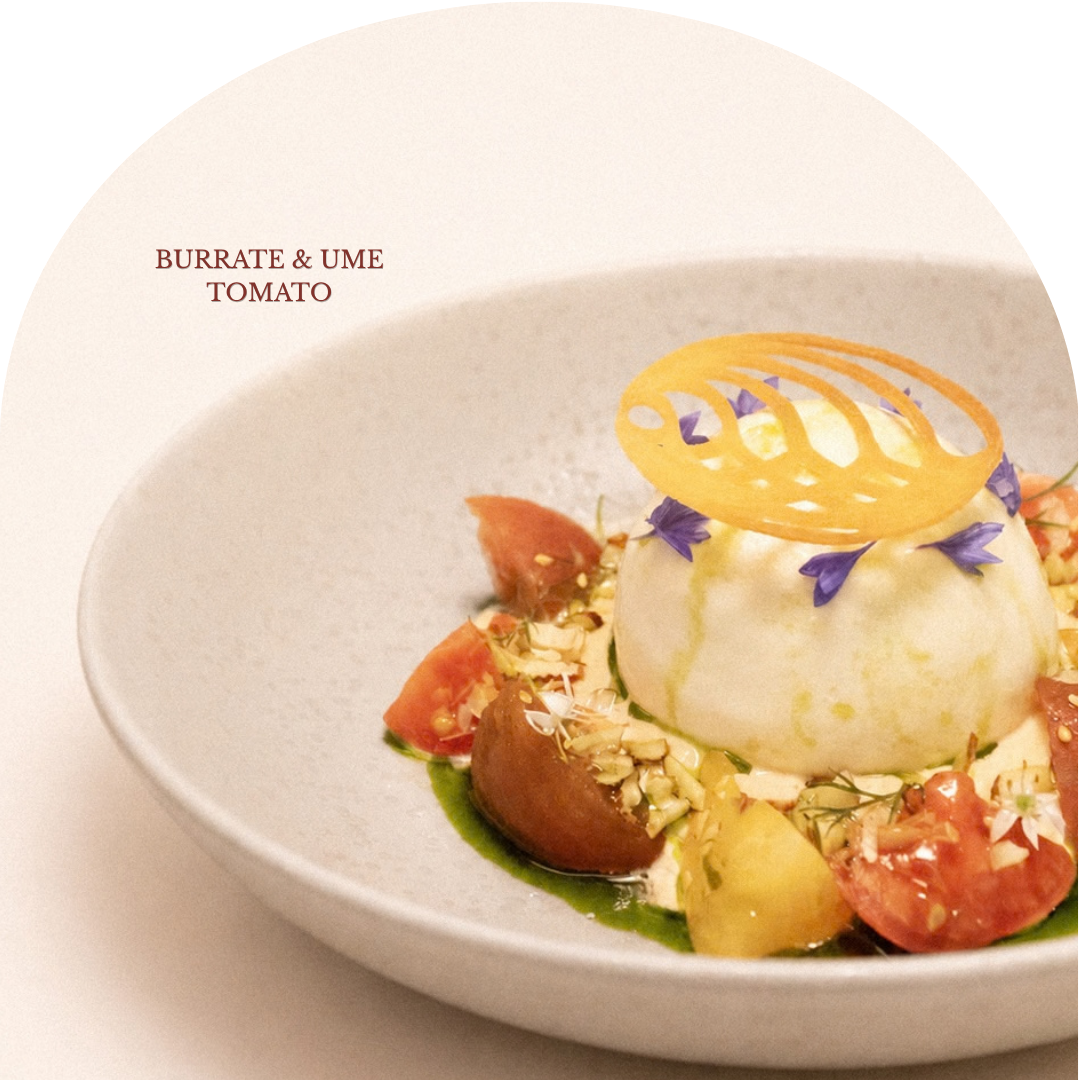 Burrata & Ume Tomato