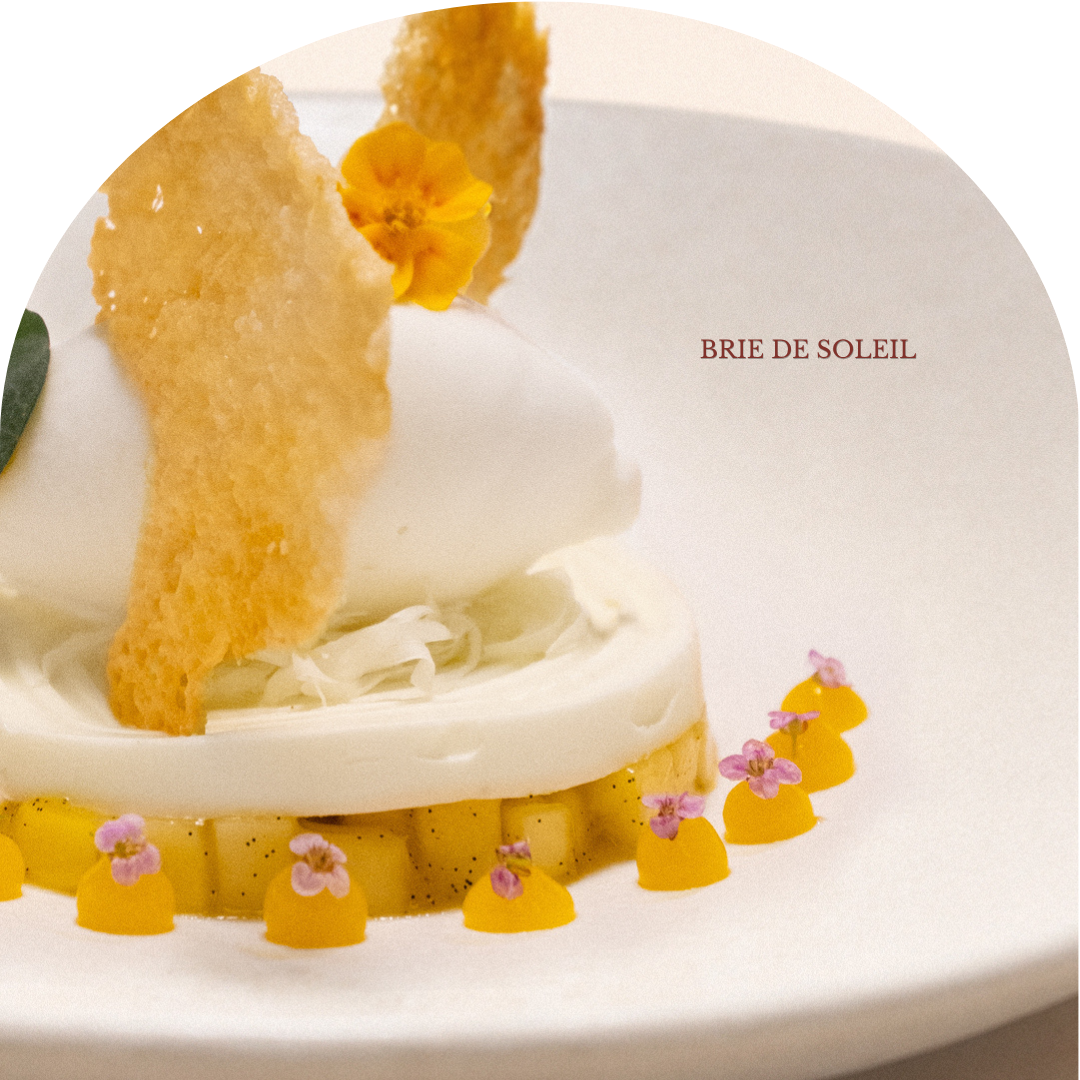 Brie de Soleil