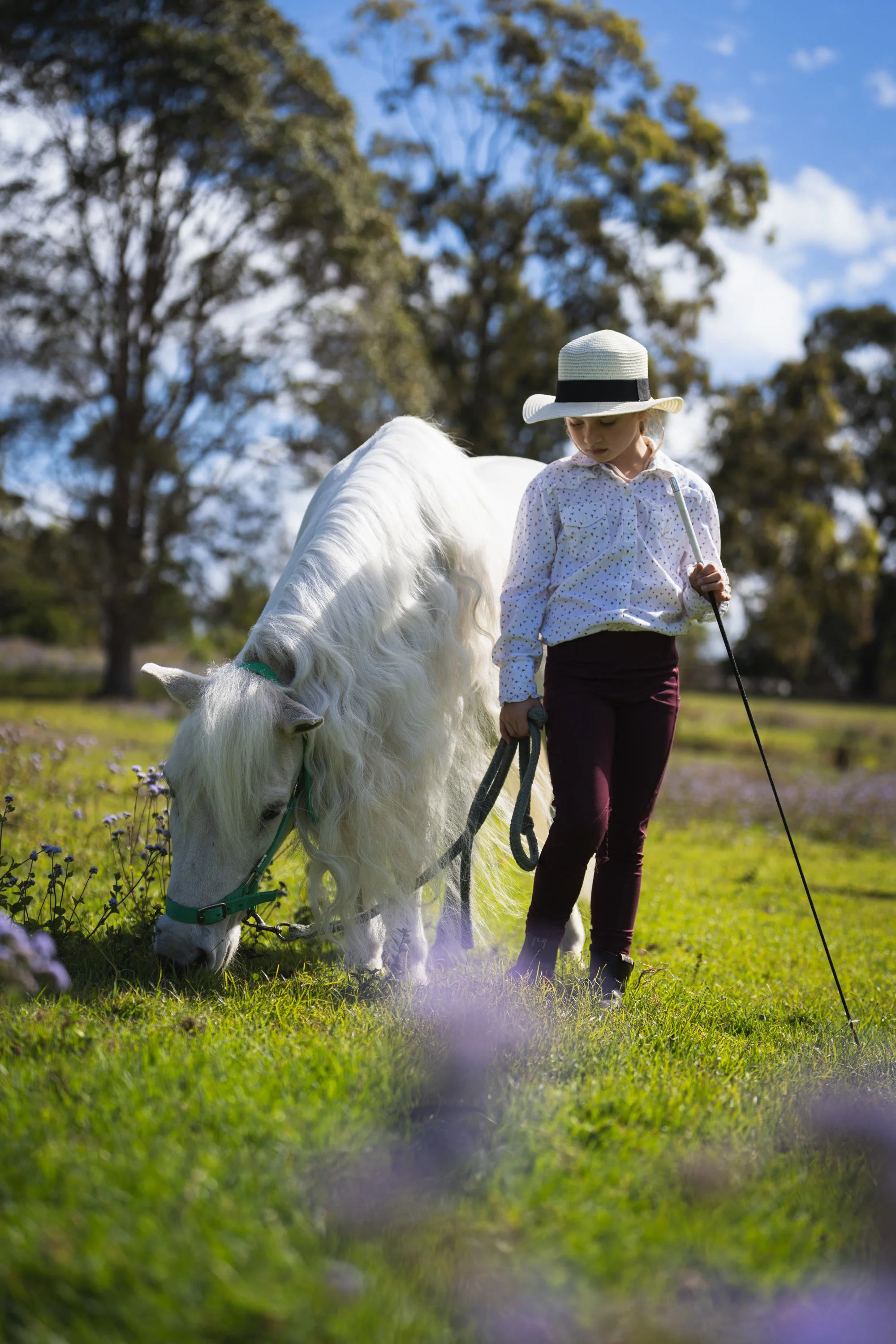 Horse handler standing beside a white horse in the Australian bush.