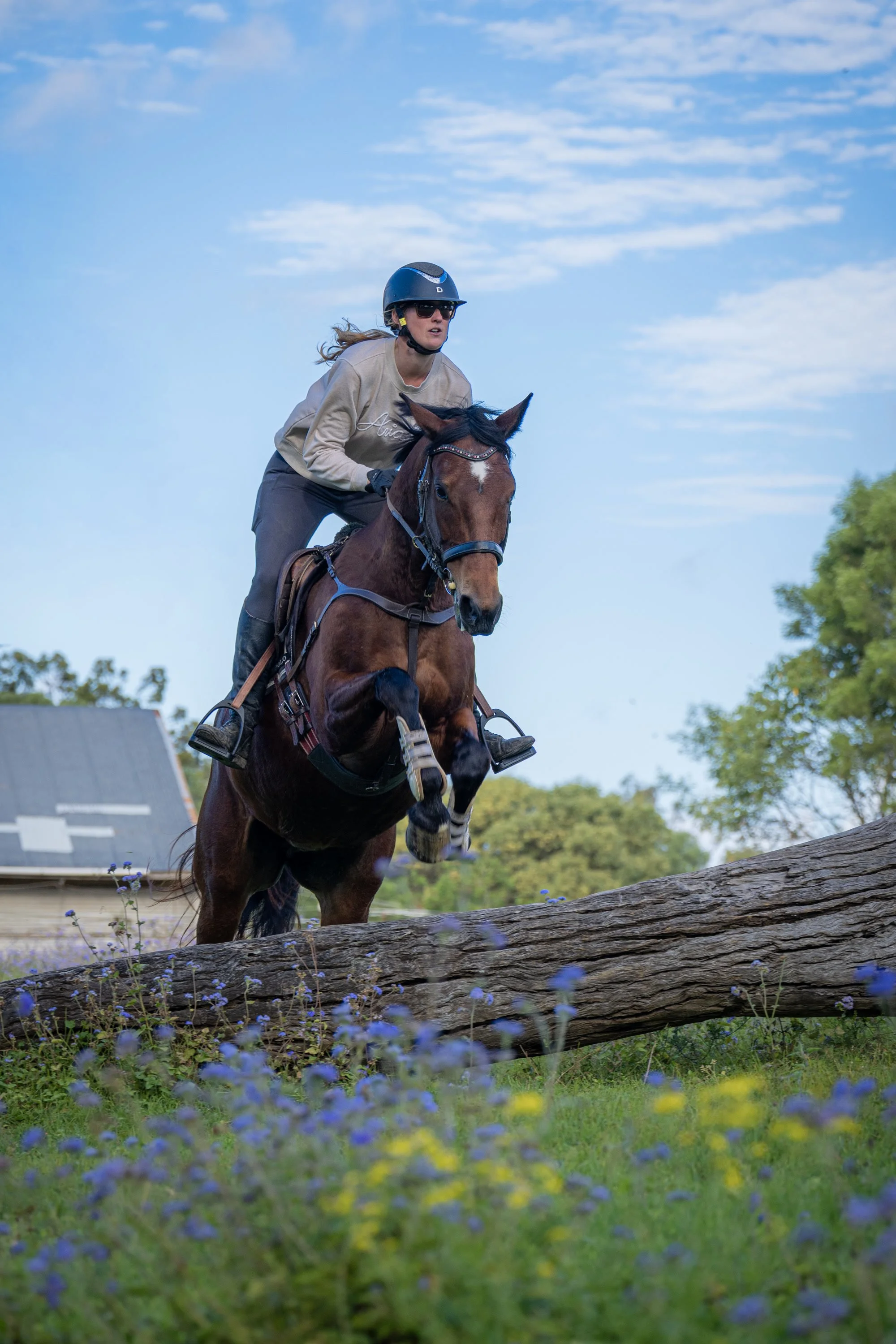 Equestrian riding a chestnut horse beneath a wide blue sky.