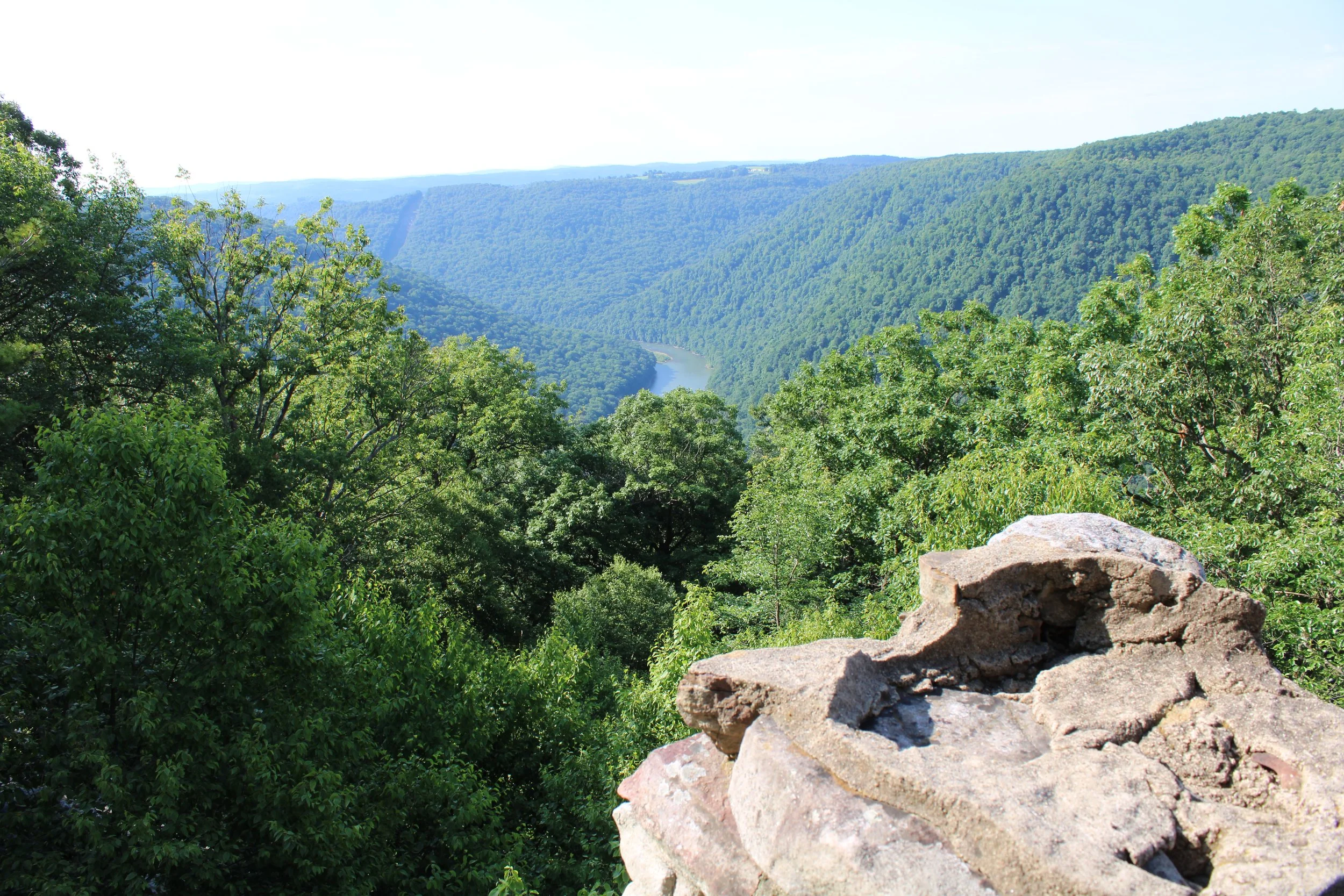 View of a lush, green forested valley with a river flowing through it, surrounded by rolling hills under a bright, clear sky, with a large rock in the foreground.