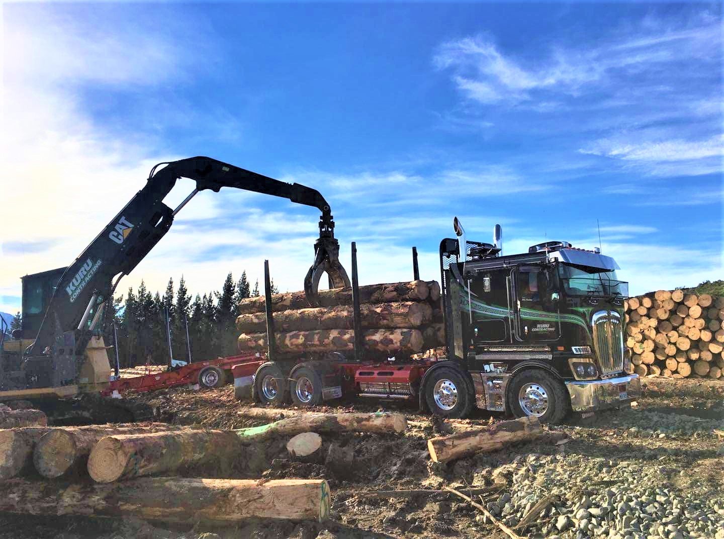 log 1 logger 1.jpg