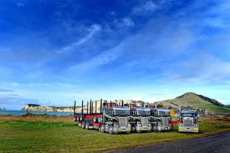 DSC_5702 A Kuru Fleet Tolga Bay copy.jpg