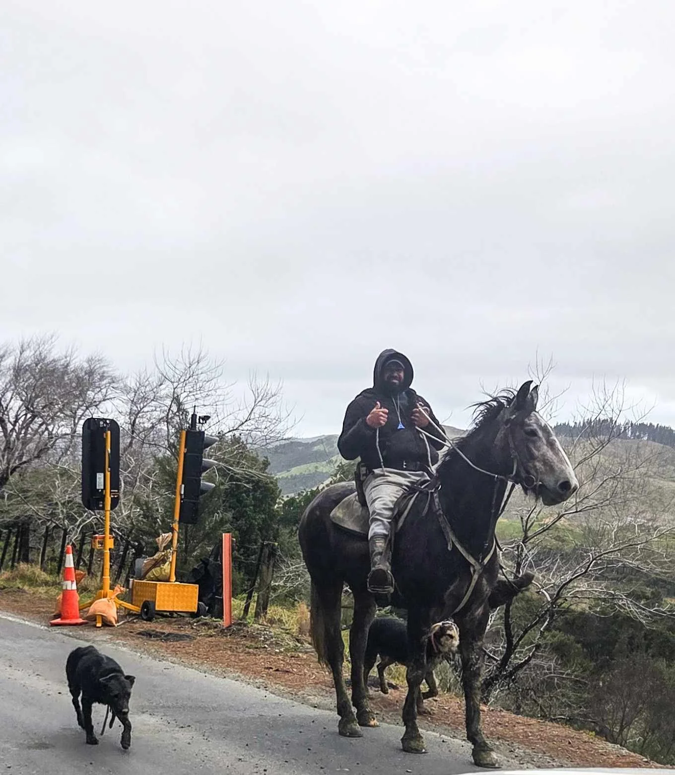 20260831TTMAorangiPahuru 001.jpg