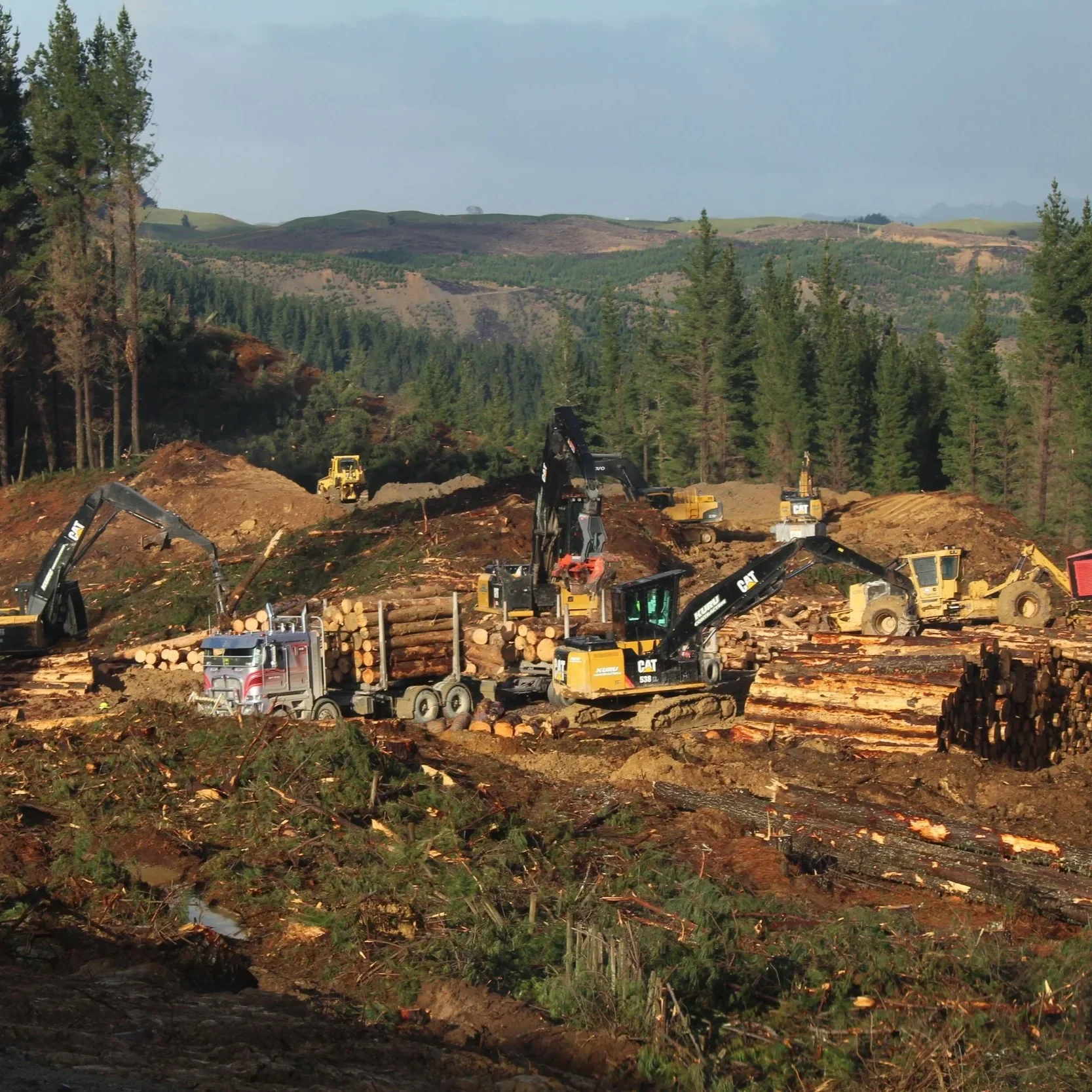 Roadline Harvesting
