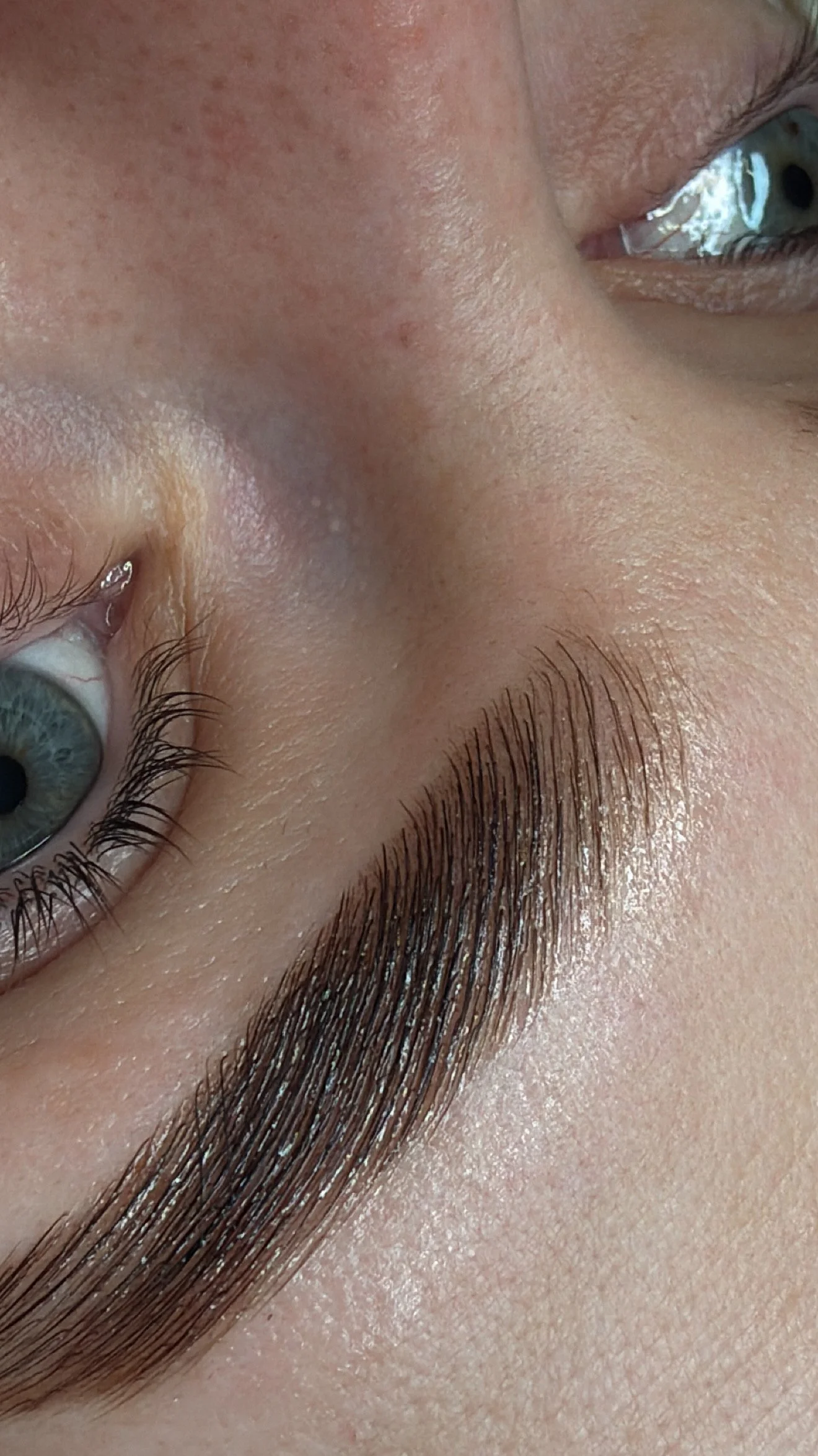 brow stain brow wax lamination brow mapping