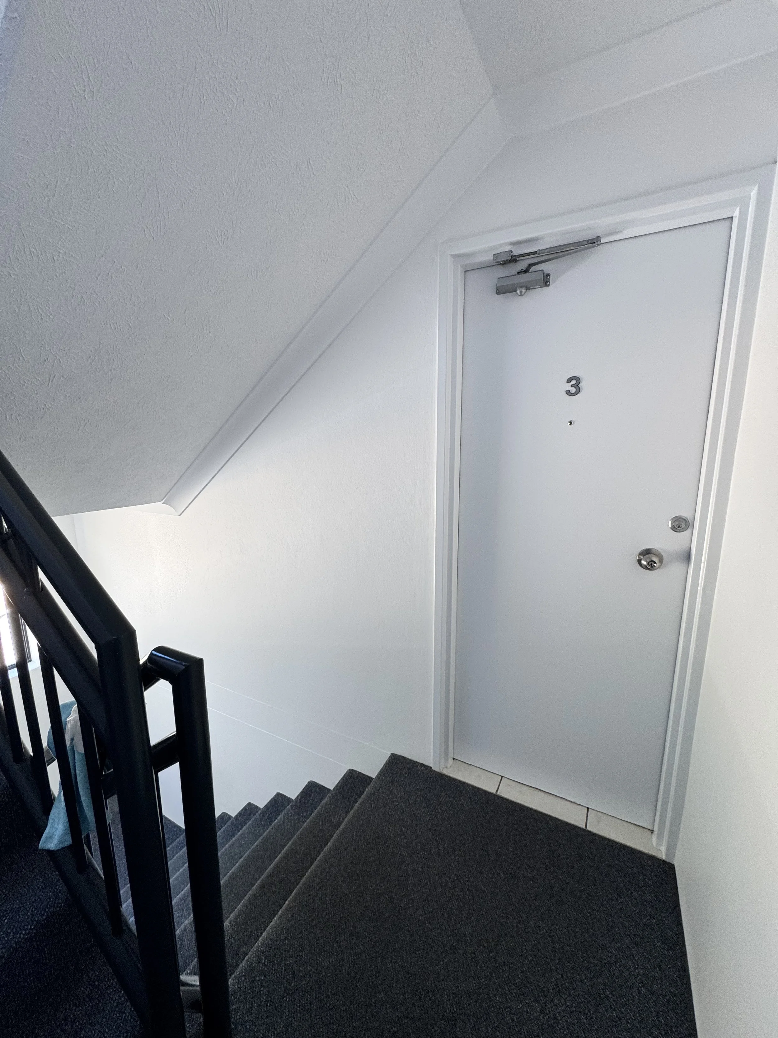 Labrador stairwell 1 painting of doors.jpeg