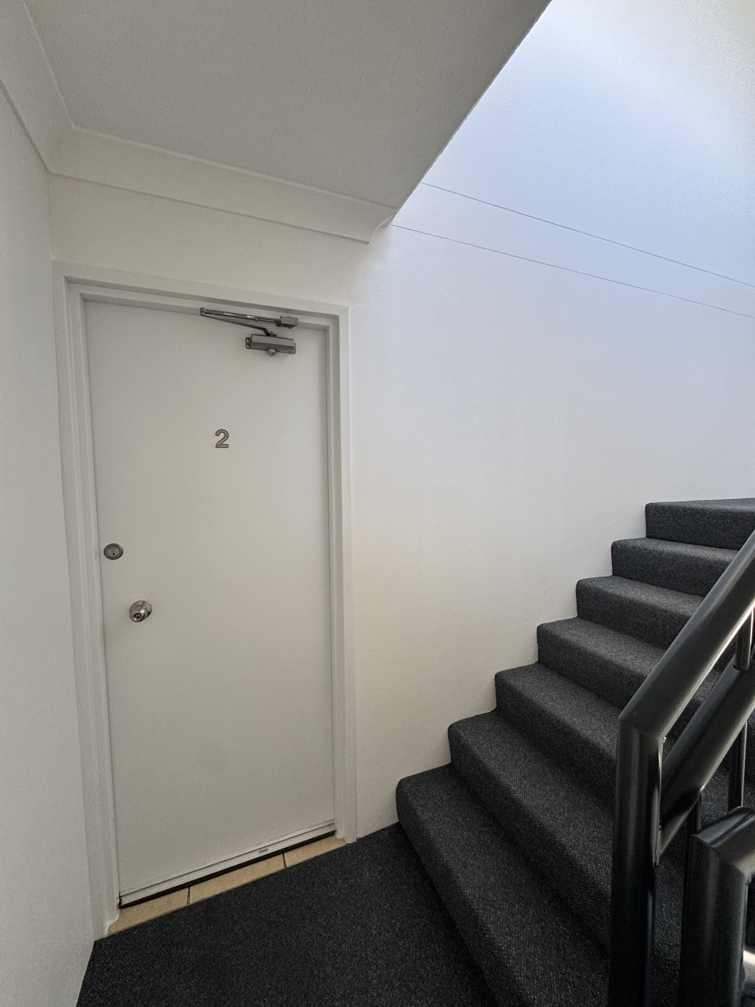 Labrador stairwell painting of doors.jpeg