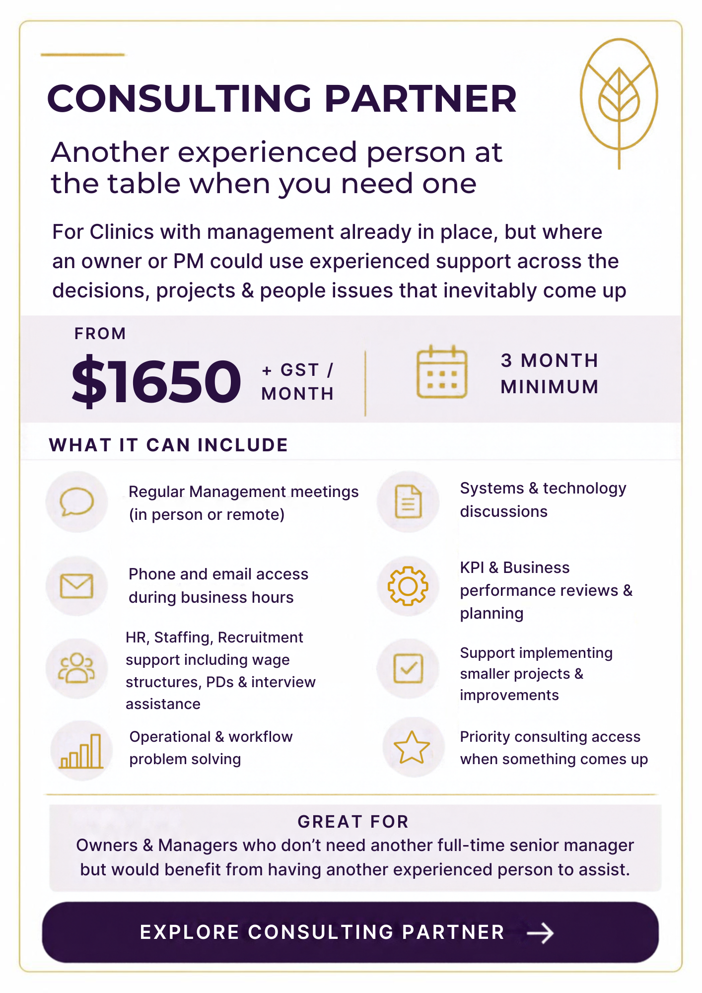 Unlock Consulting Partner package pr. The ad lists inclusions such as management meetings, system discussions, email access, HR support, workflow problem-solving, and prioritization consulting, aimed at owners and managers seeking additional support.