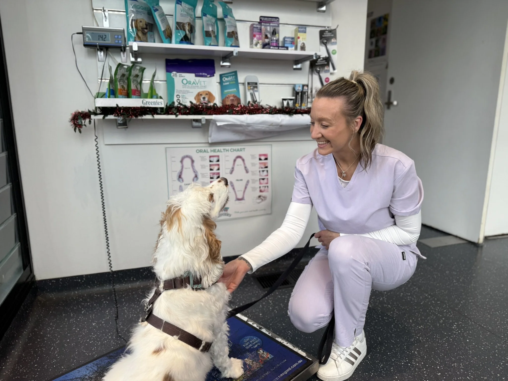 Nurse Consults: A Strategic Solution for Sustainable Growth in Independent Vet Clinics