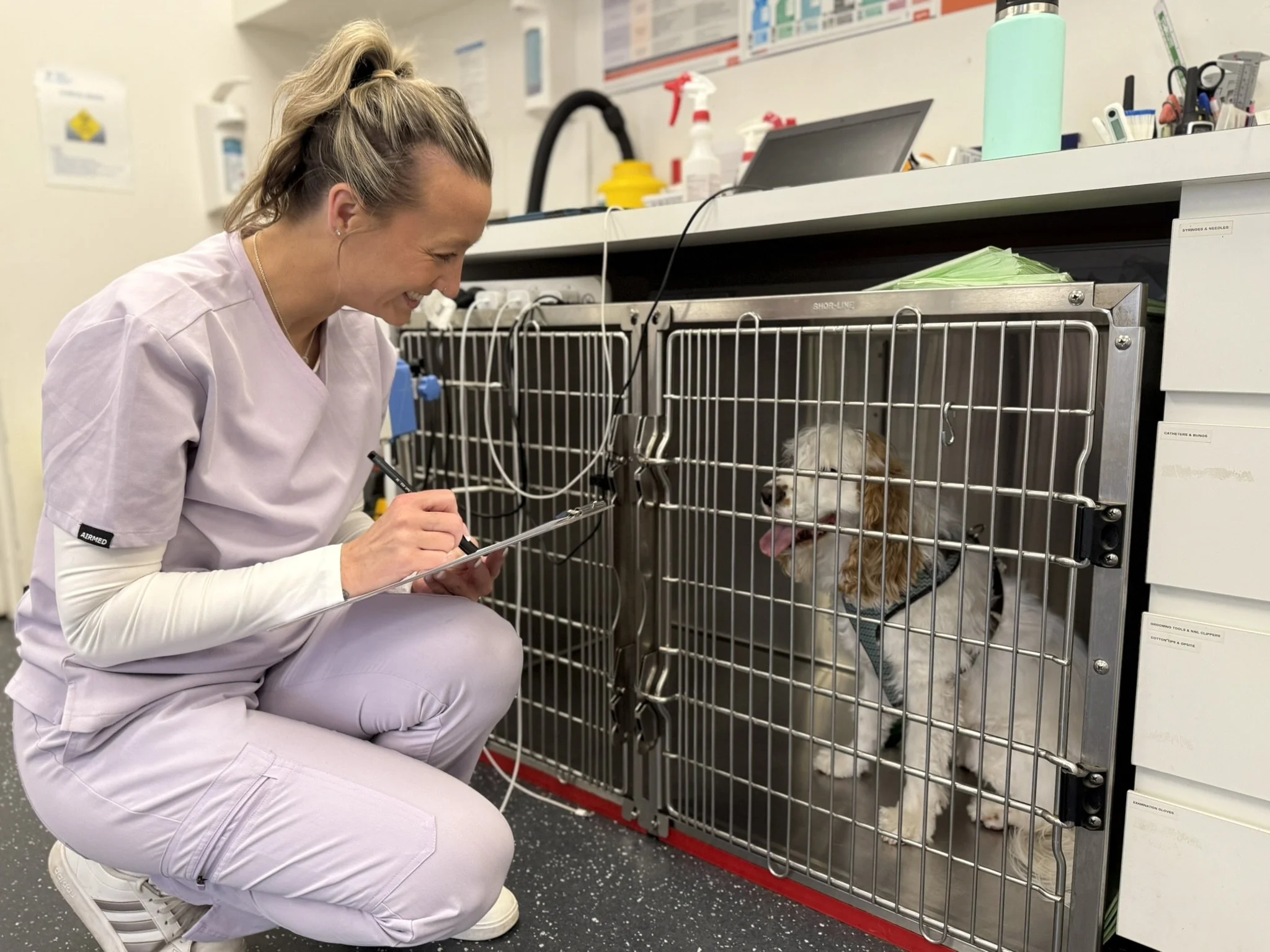 Understanding Veterinary Wage Growth- Part Two