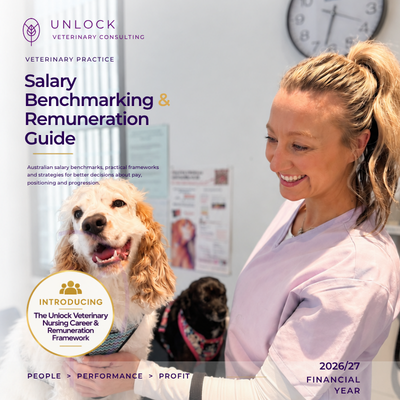 Copy of Salary Benchmark Cover FINAL.png