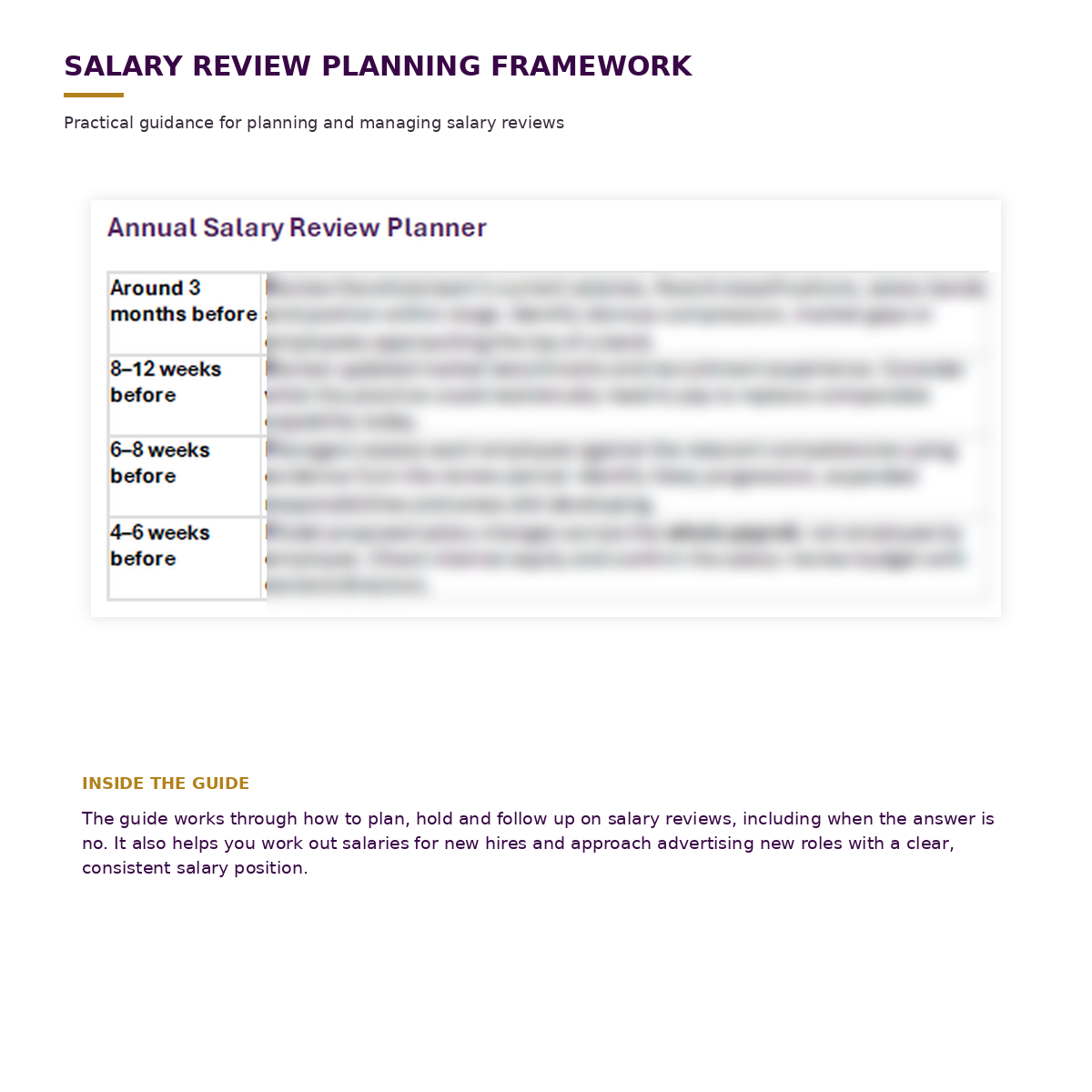 06_salary_review_planner_preview_v2.png