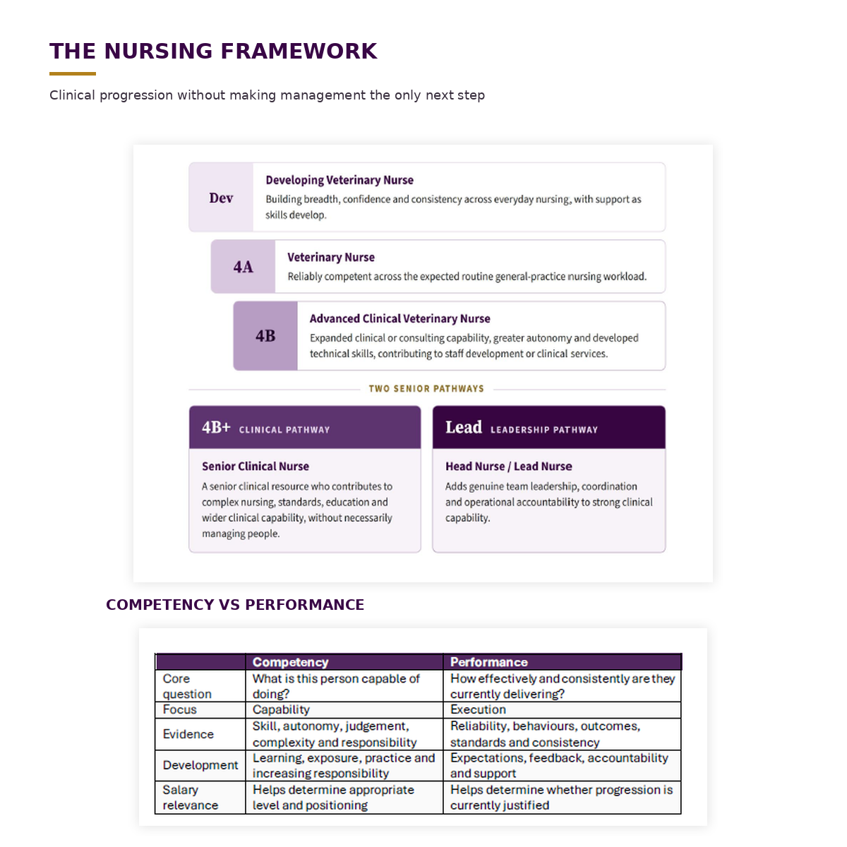02_unlock_nursing_framework.png