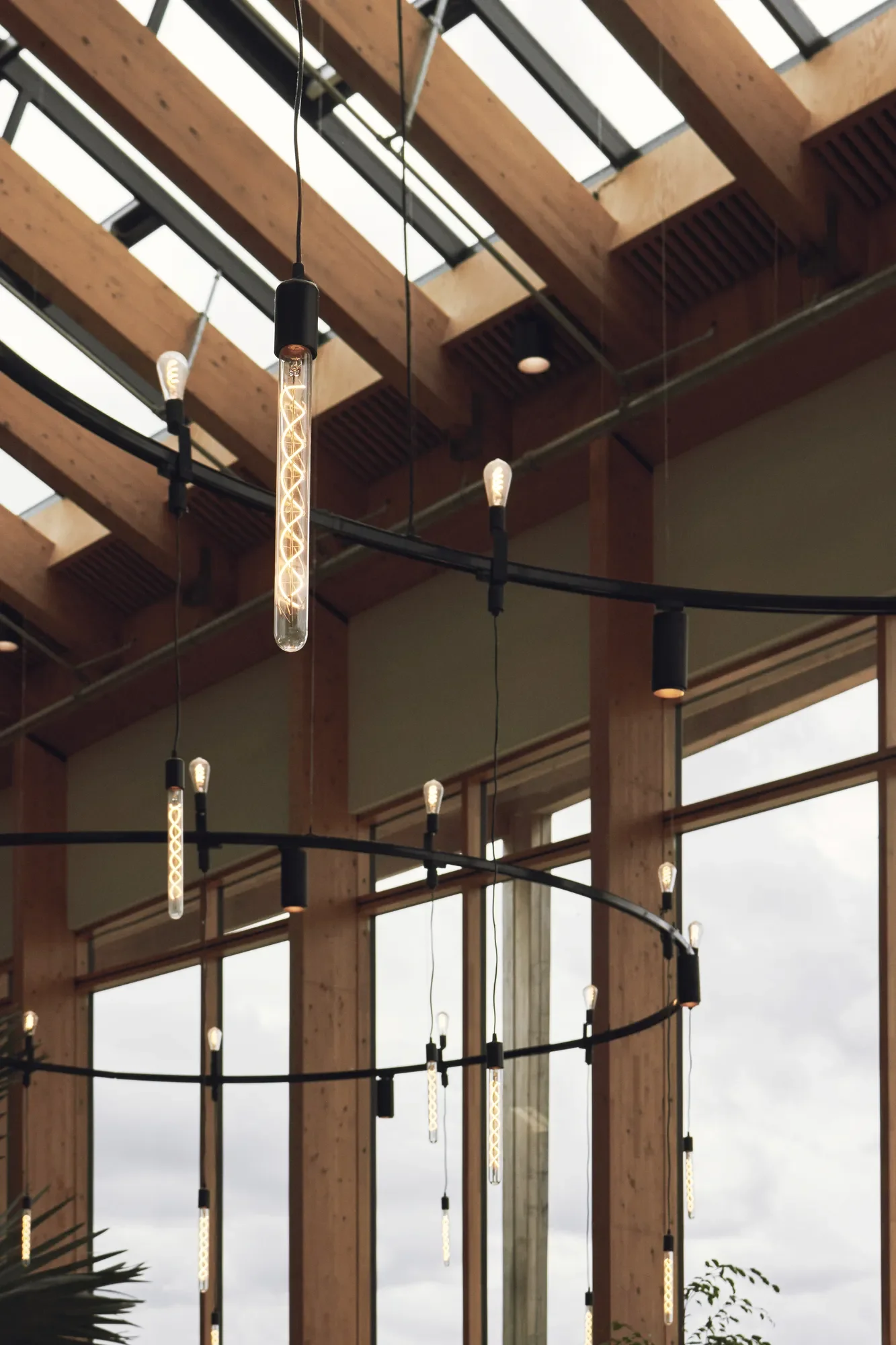 Modern hanging light fixtures inside Norborg Resort by LIK Lighting with a high ceiling, wooden beams, and large windows.