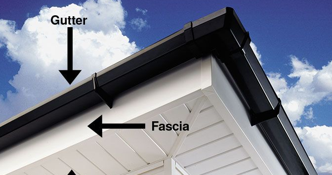 fascia- new.png