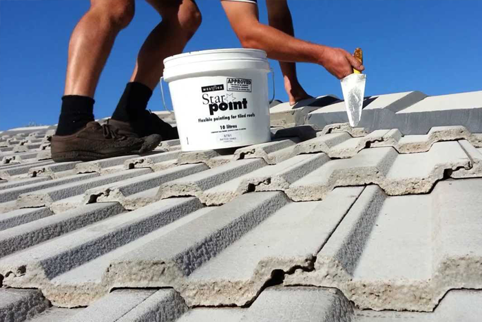 roof_restoration_g2.png