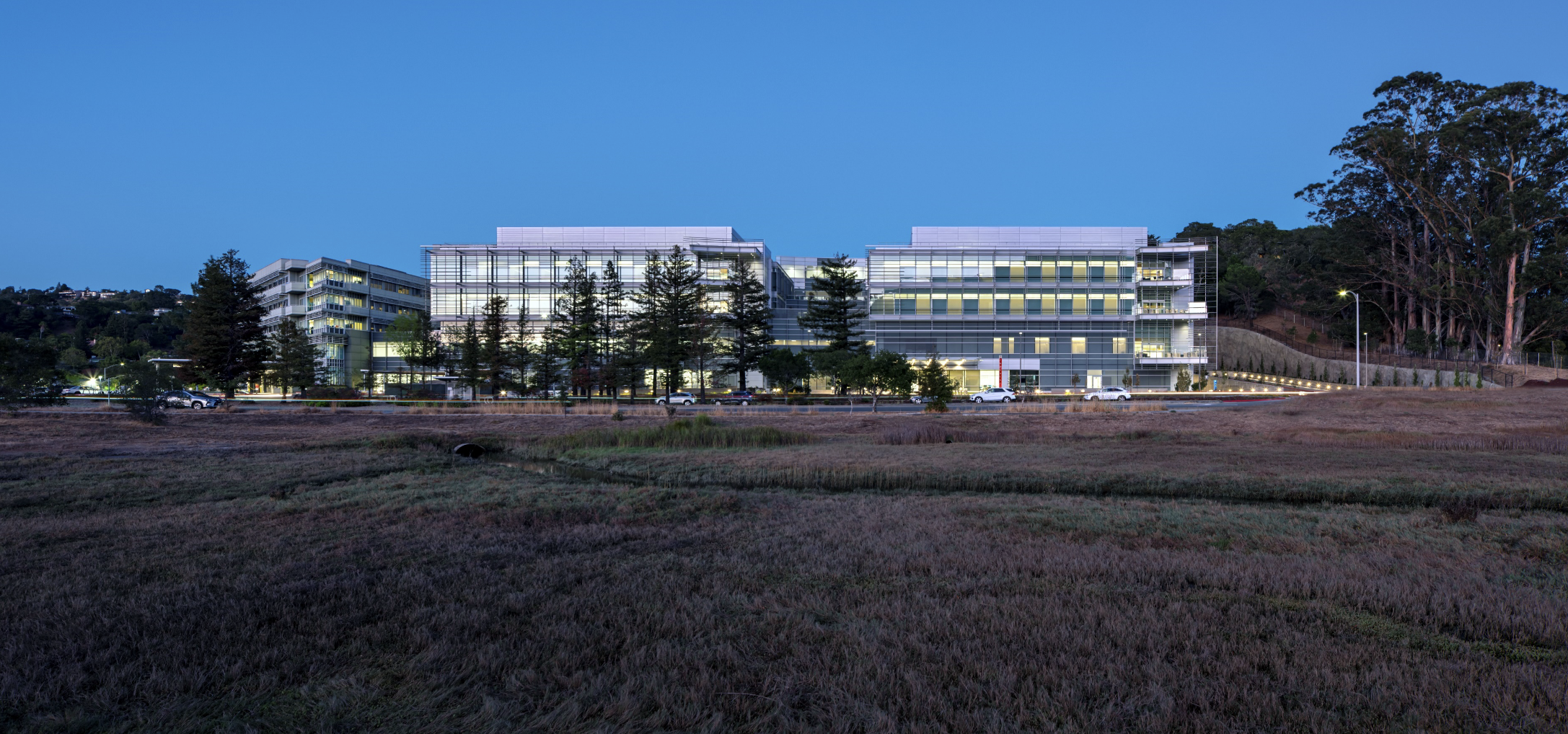 A modern multi-story office building with large glass windows illuminated from within, surrounded by trees and cars parked along the street, under a clear evening sky.