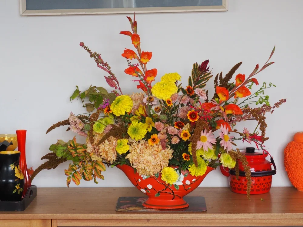 The Orange Collection.