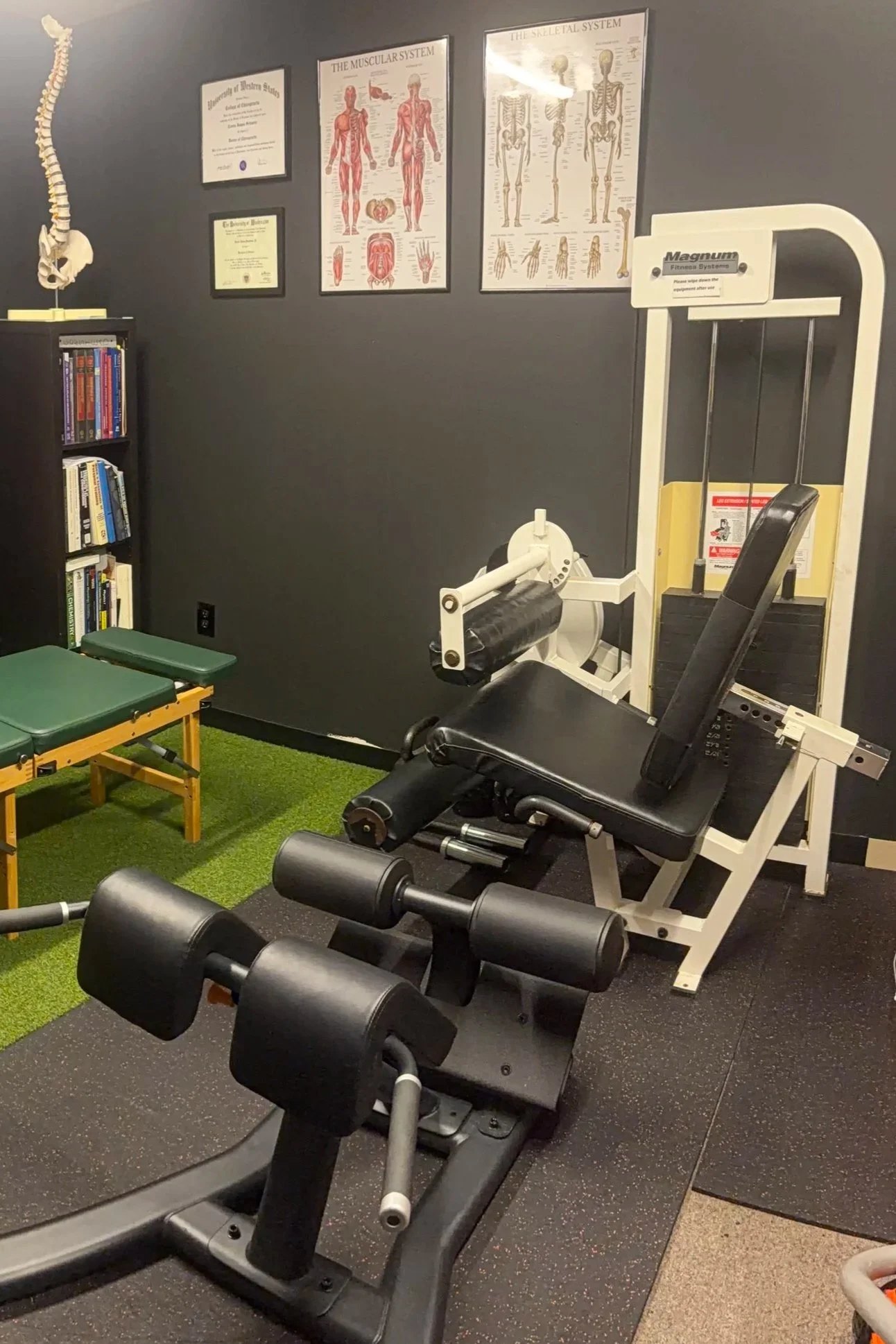 Dr. CJ Schuster DC CSCS sports chiropractic office Kirkland Eastside treatment room photo chiropractic table 45 degree hyperextensions leg curl leg extension machine green turf gym flooring