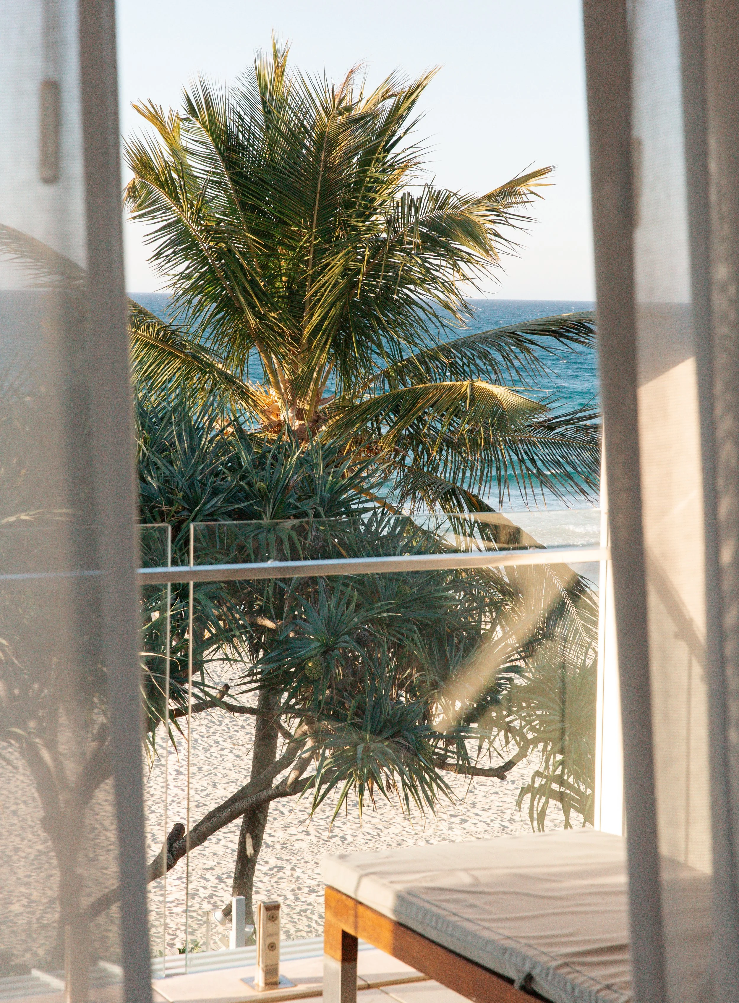 View of a palm tree and ocean seen through a window with sheer curtains, a table with a checkered tablecloth in the foreground.