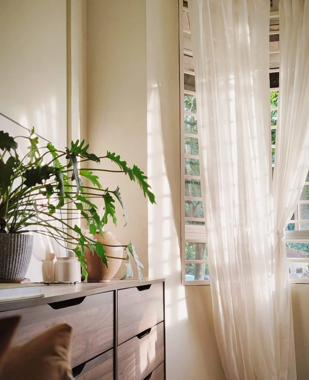 Sunlight filtering through sheer white curtains onto a wooden dresser with potted plants and ceramic vases, next to a window with open blinds.