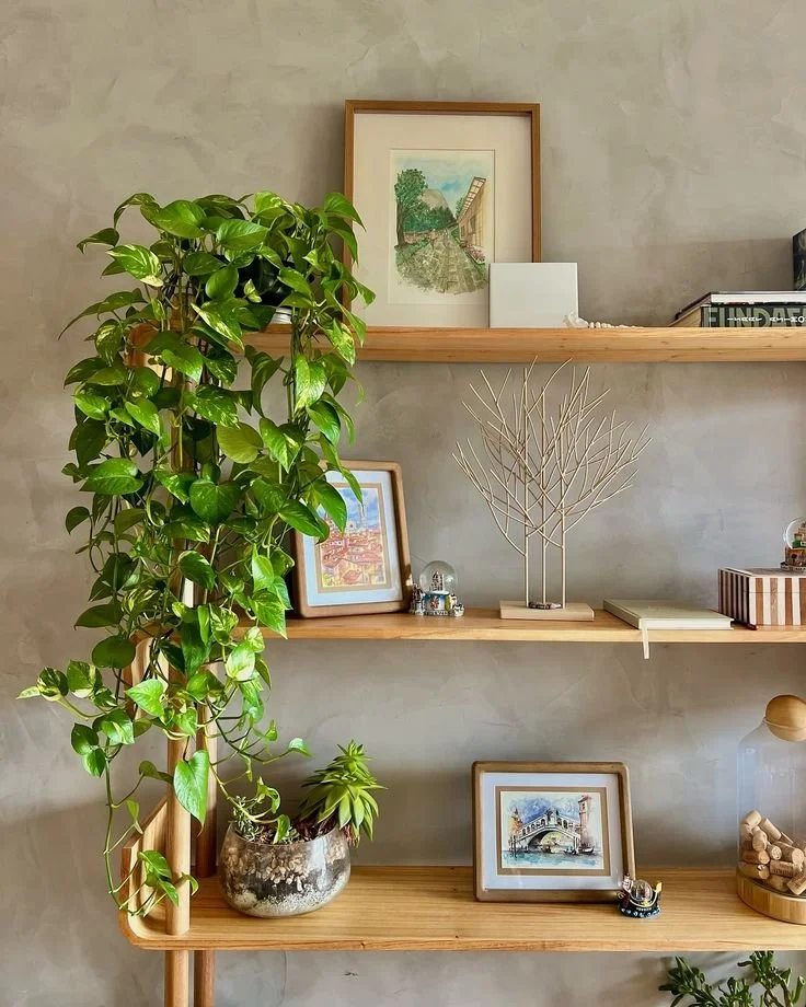 A wooden shelf unit with three shelves against a gray wall, decorated with framed artwork, potted plants, a metal tree sculpture, books, and decorative items.