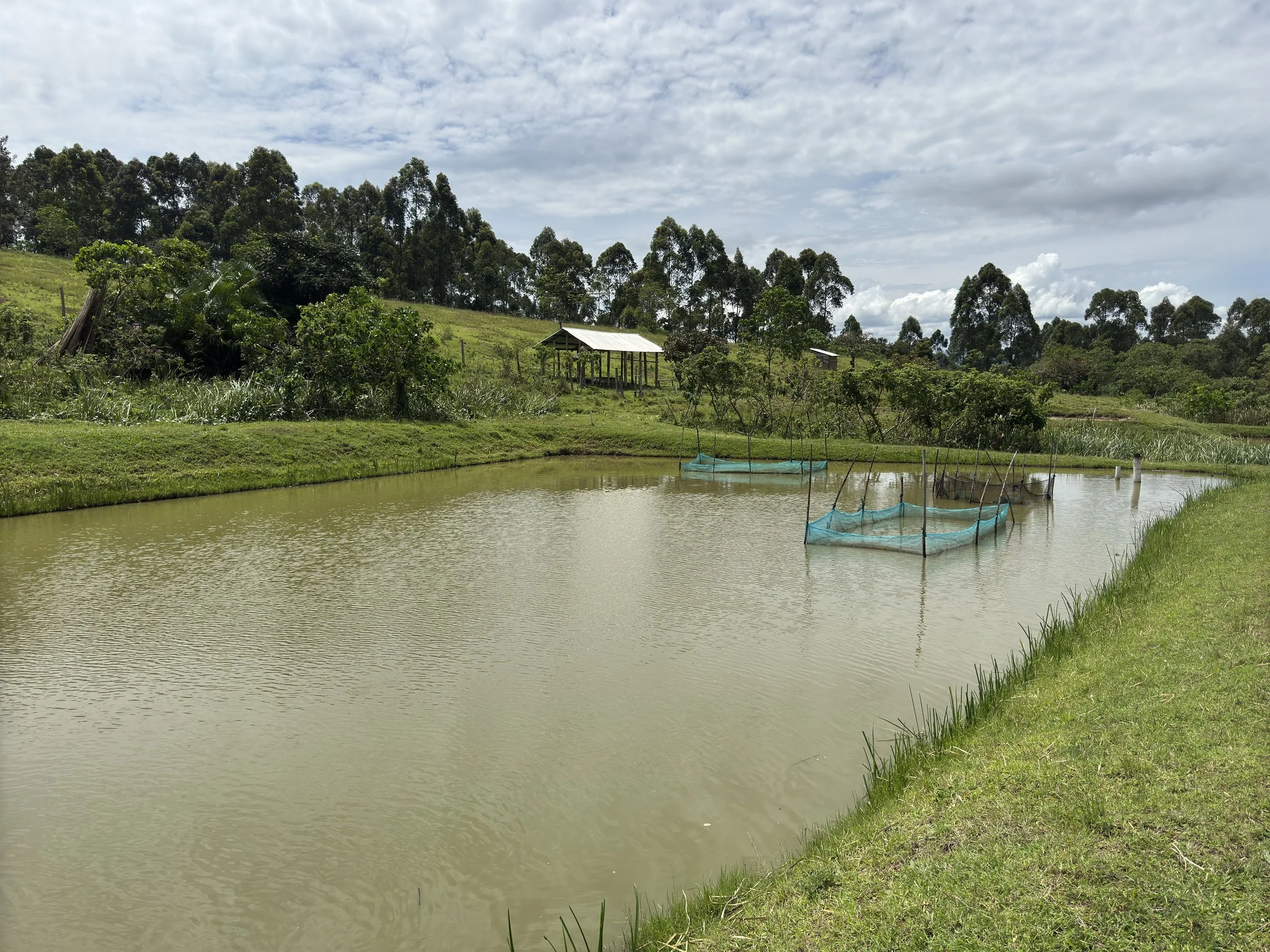RAD fish farm hub - East Africa