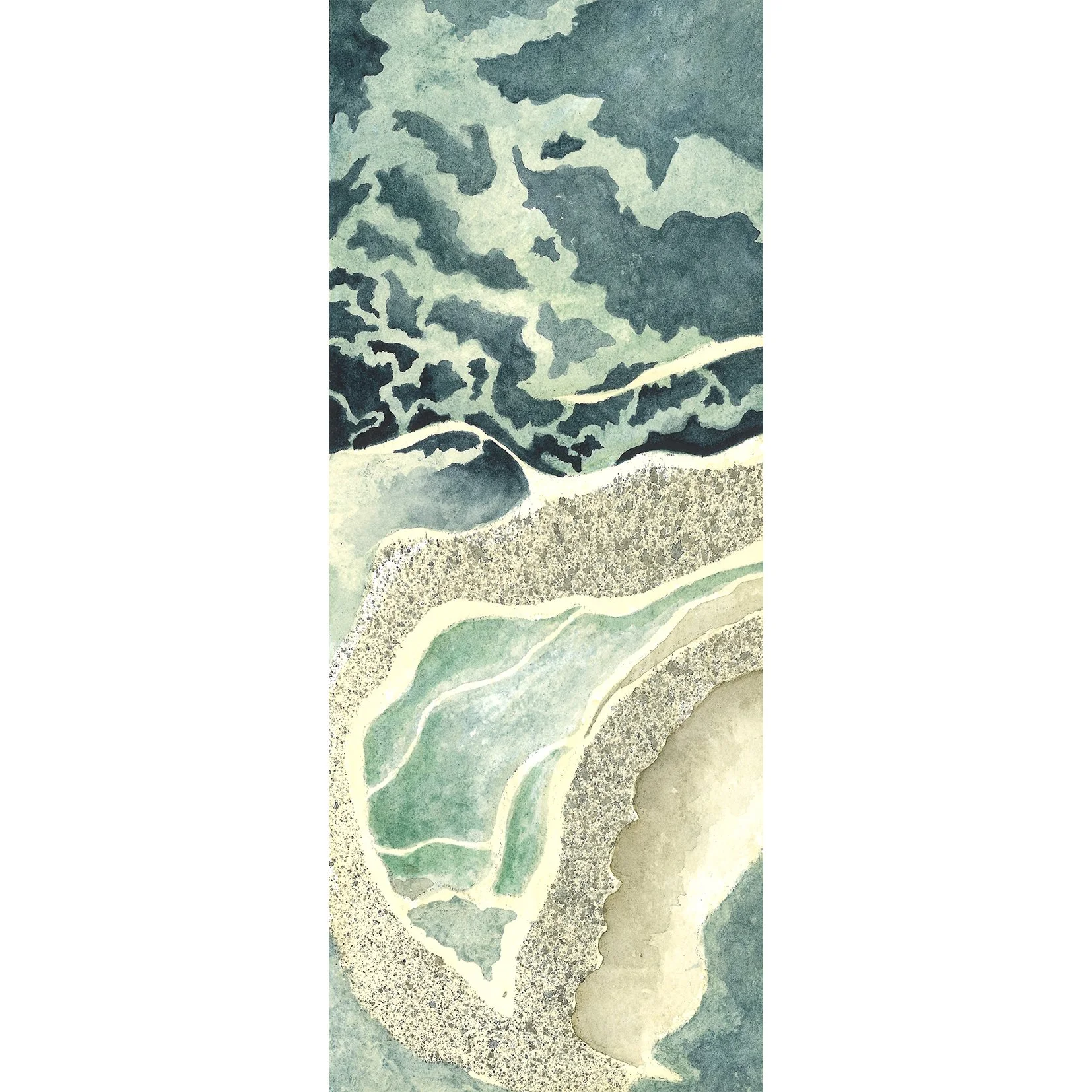 Bretagne_Île Stuan, shell on the beach.jpg