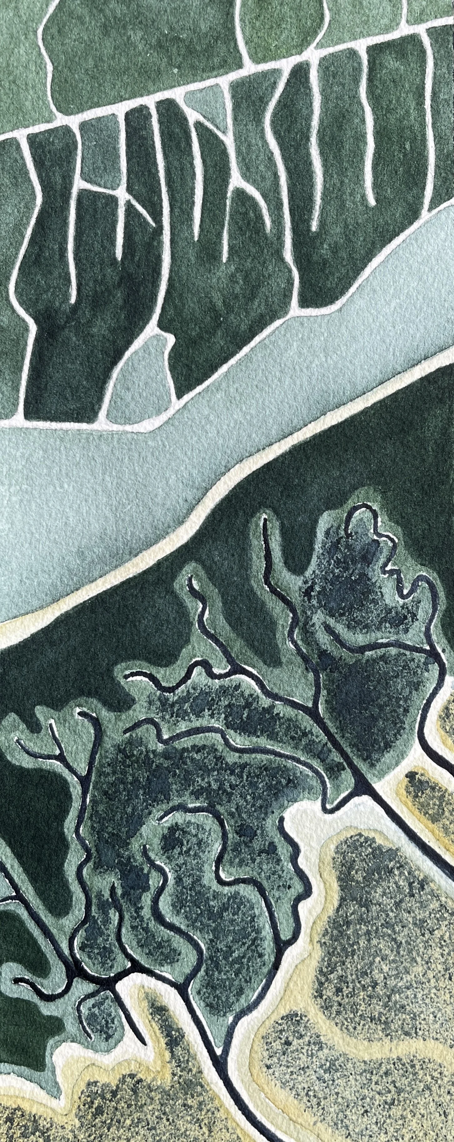 Sandbanks & mudflats