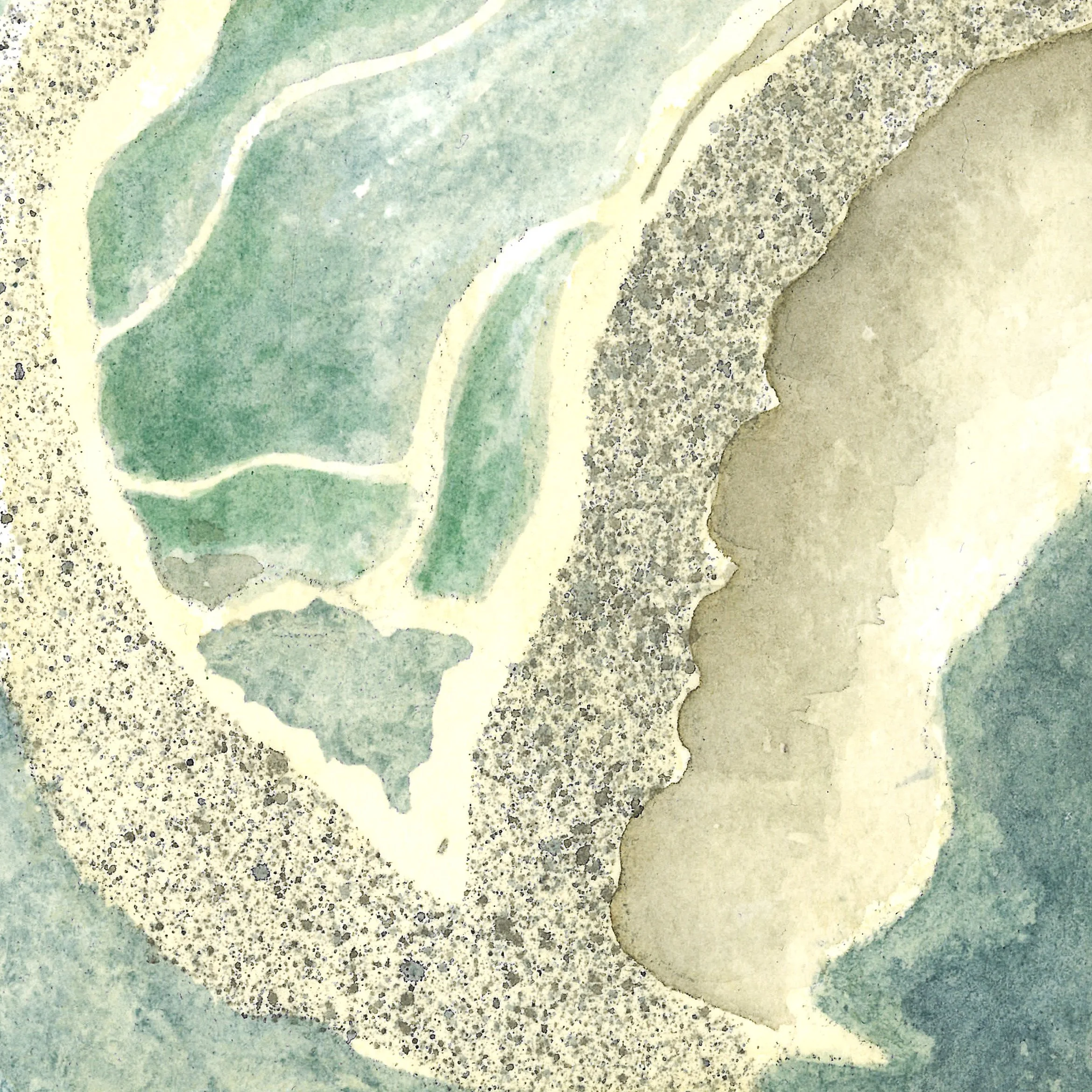 Bretagne_Île Stuan, shell on the beach 02.jpg