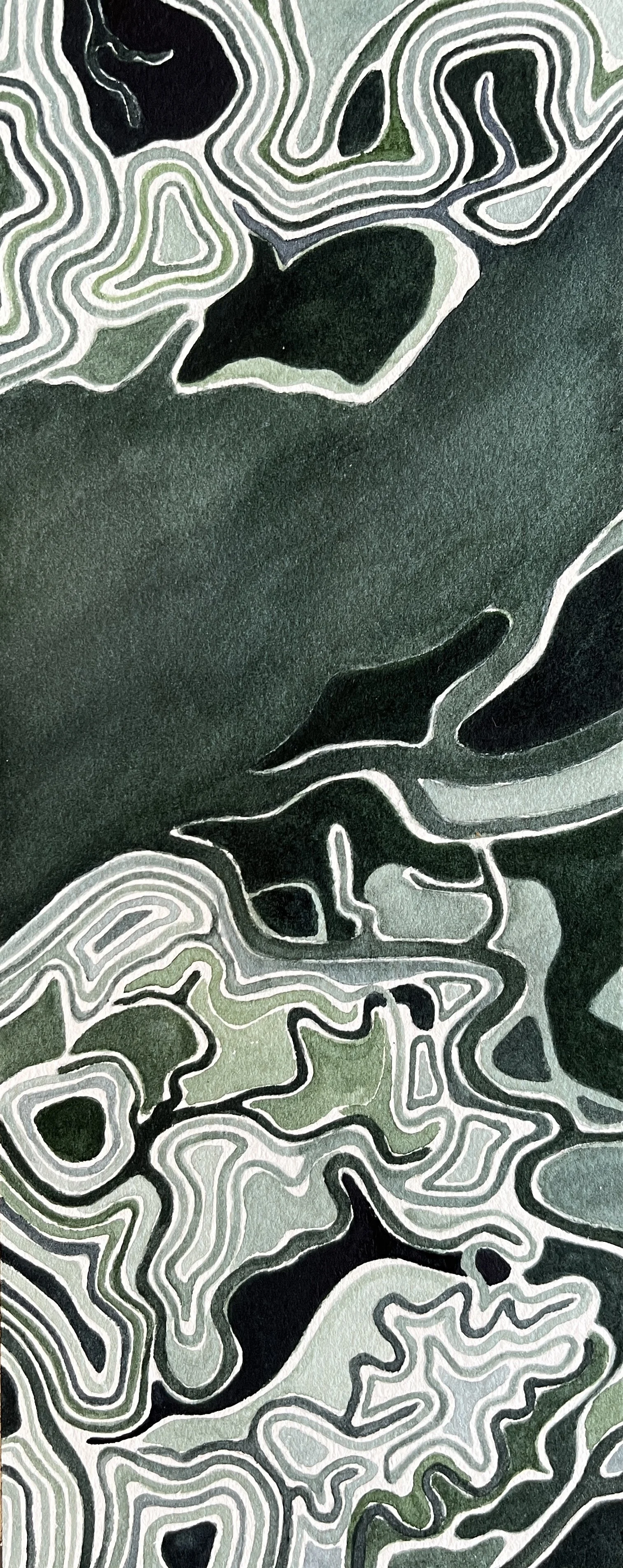 Salt marshes & wetlands